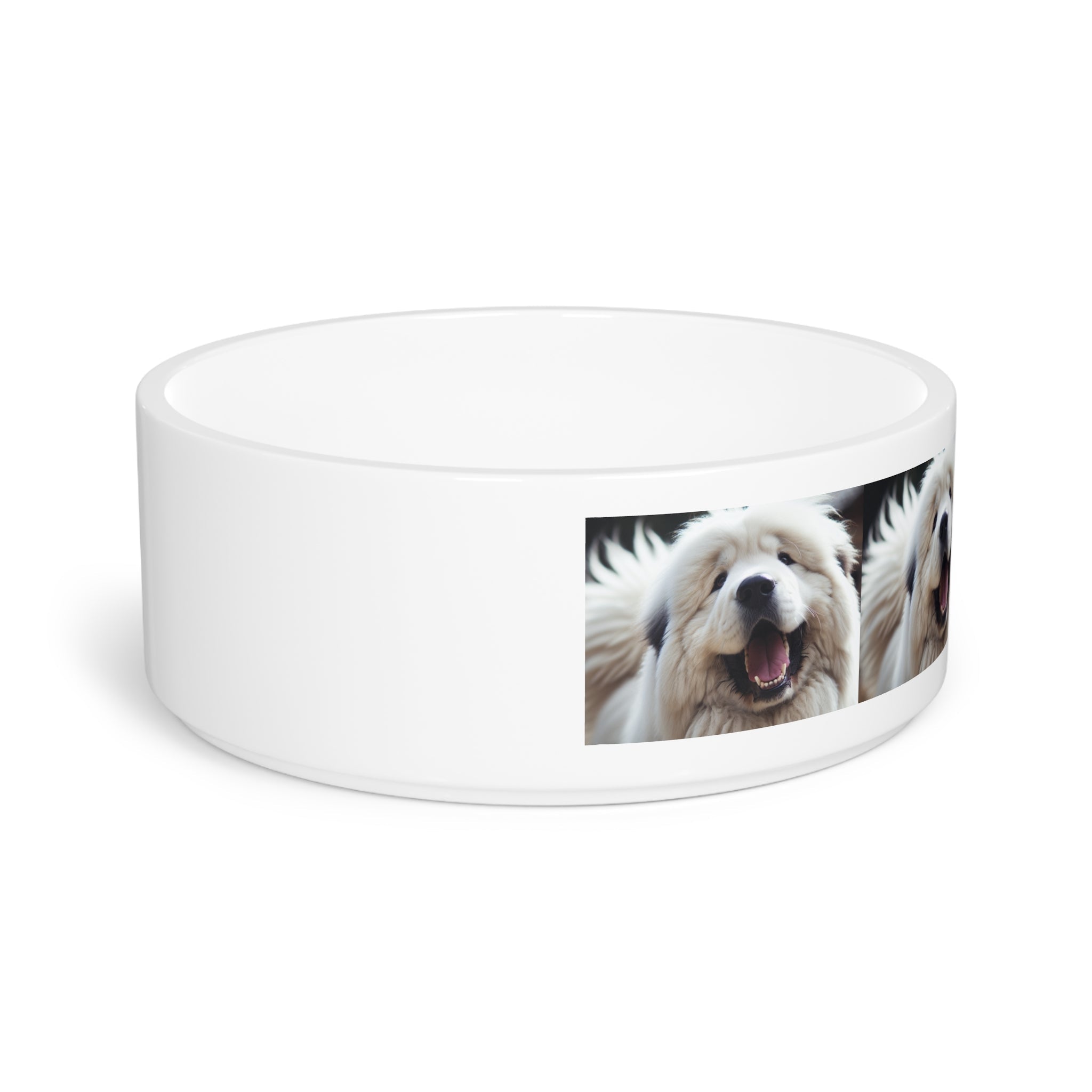 Ceramic Pet Bowl – 16 oz Dog Feeding Bowl