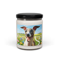 Soy Candle – Scented Jar Candle