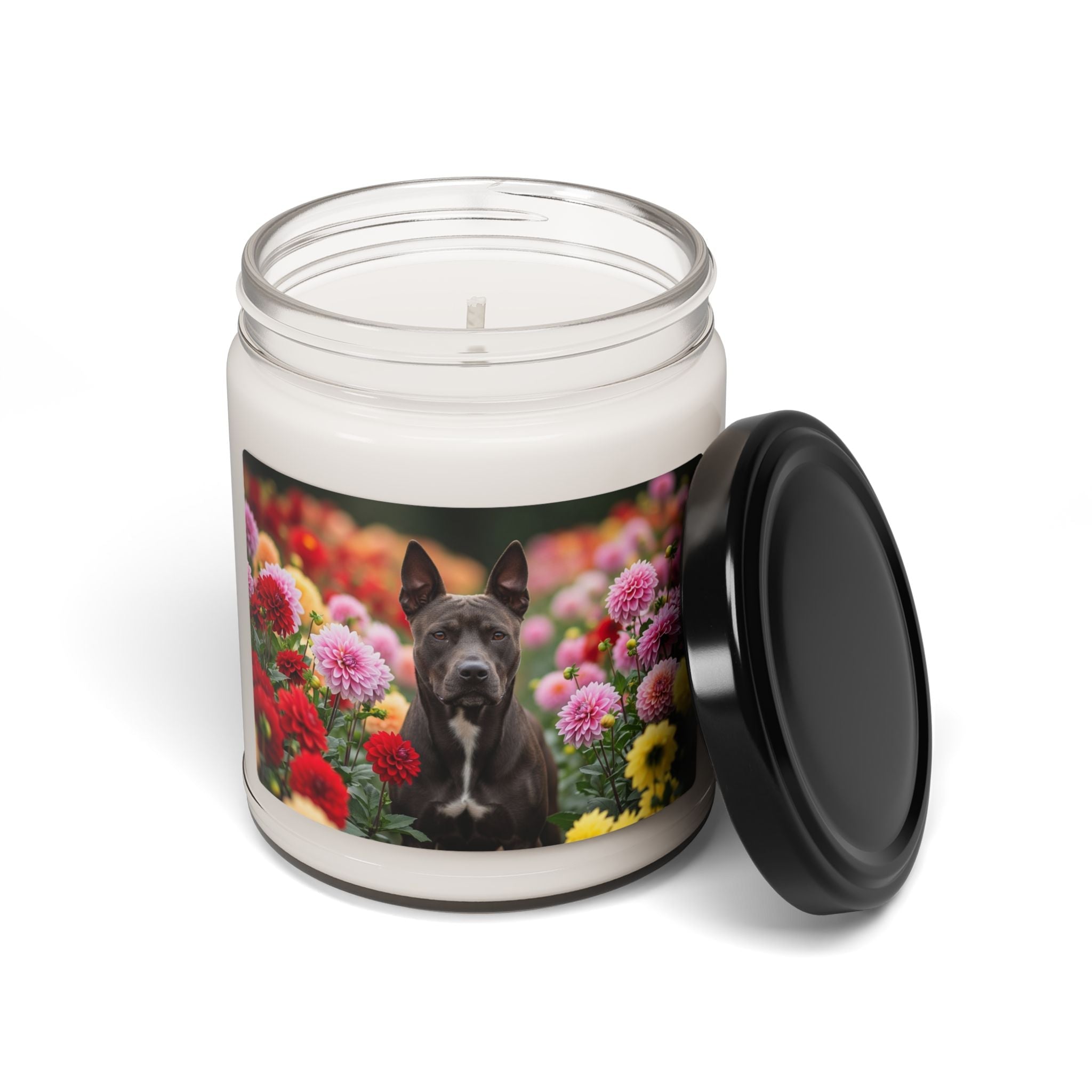 Soy Candle – Scented Jar Candle