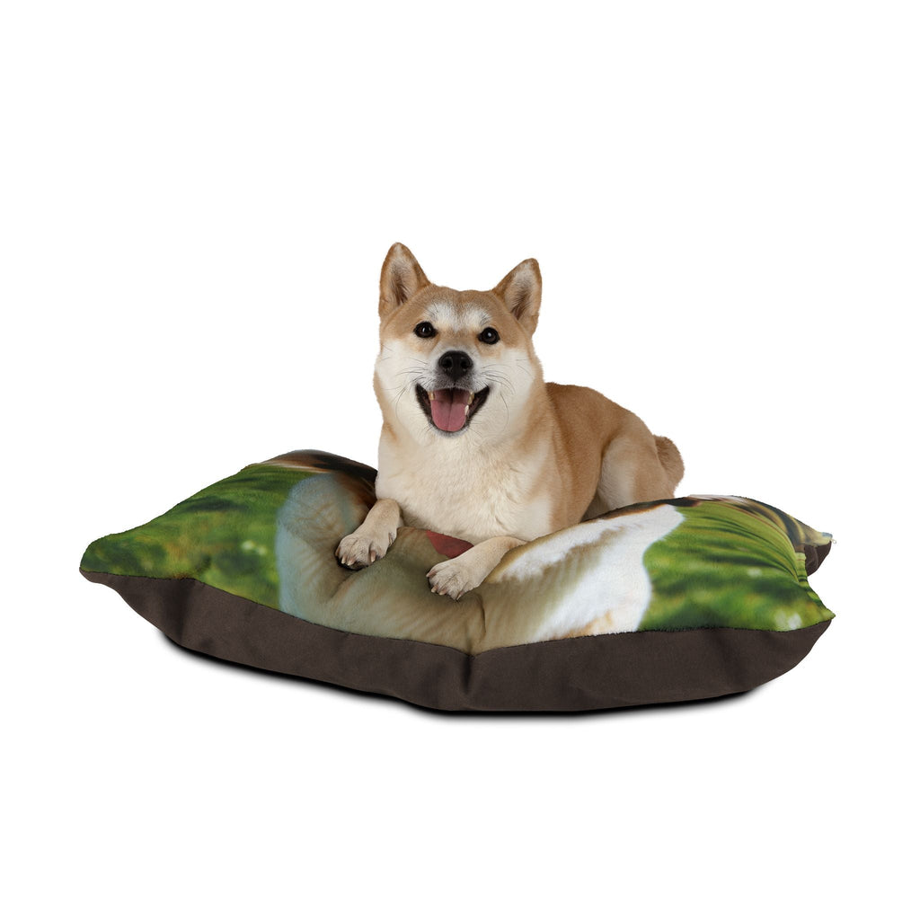 Pet Bed – Plush Dog Bed, 3 Size Options