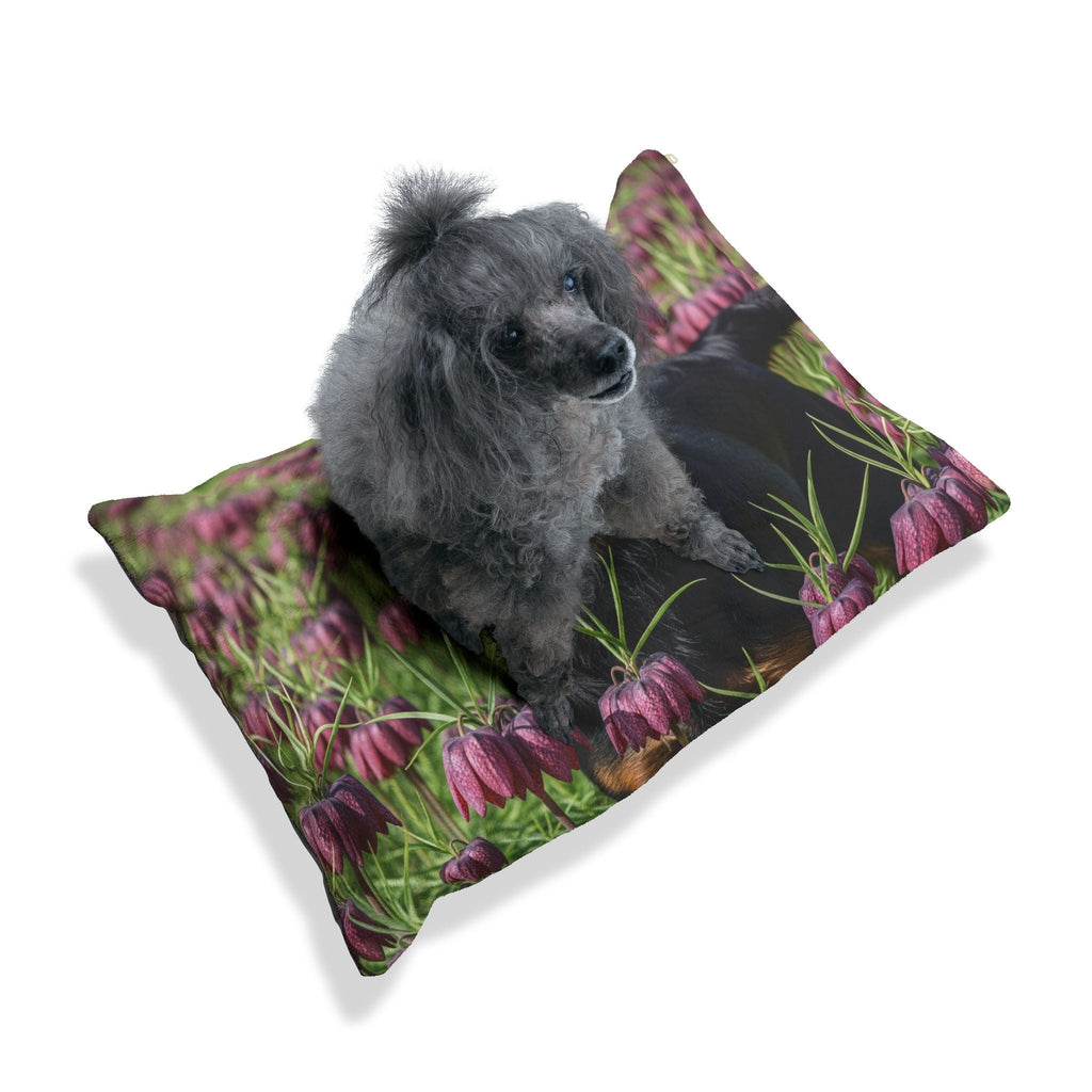 Pet Bed – Plush Dog Bed, 3 Size Options