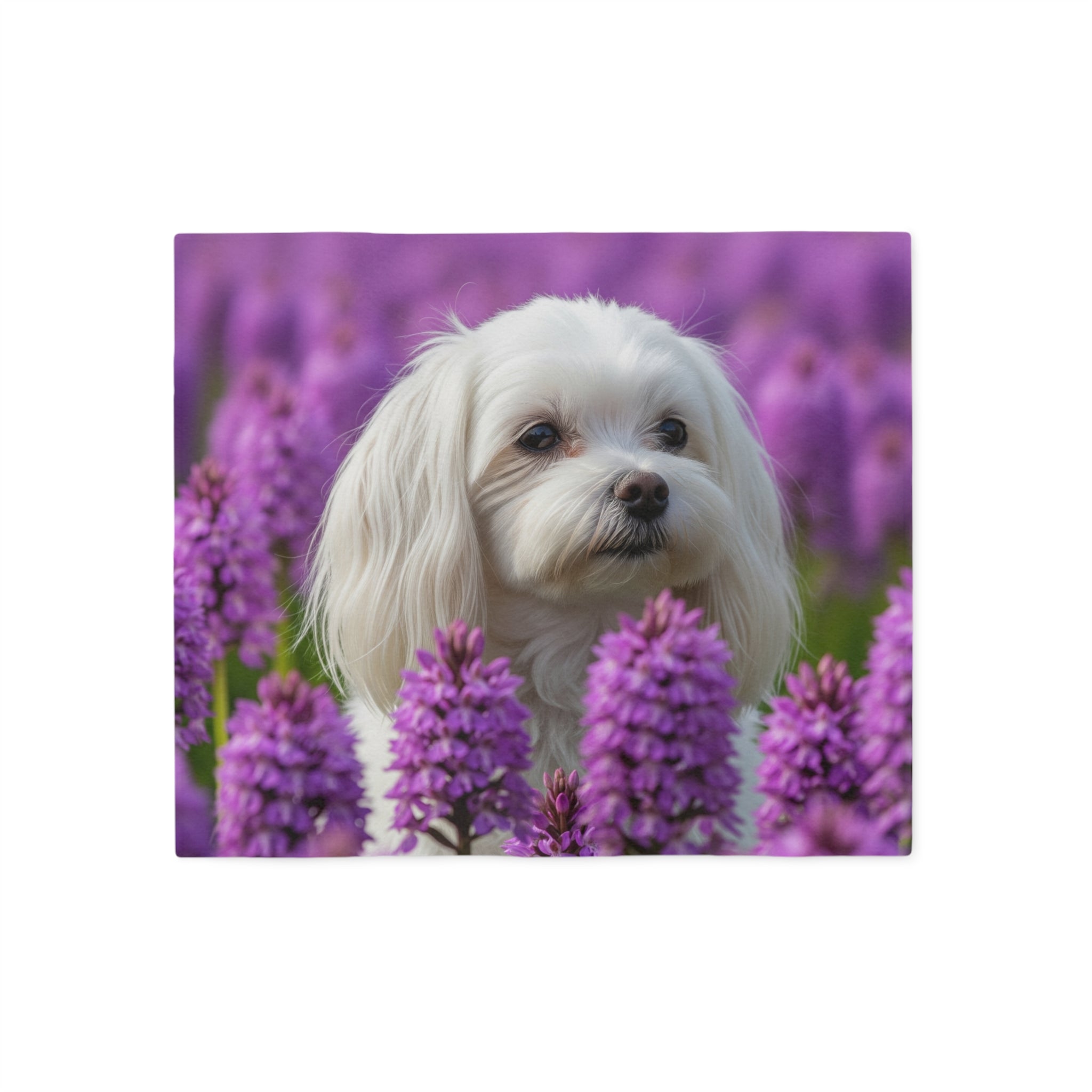 Sweatshirt Blanket – Plush Fleece Throw, 2 Size Options