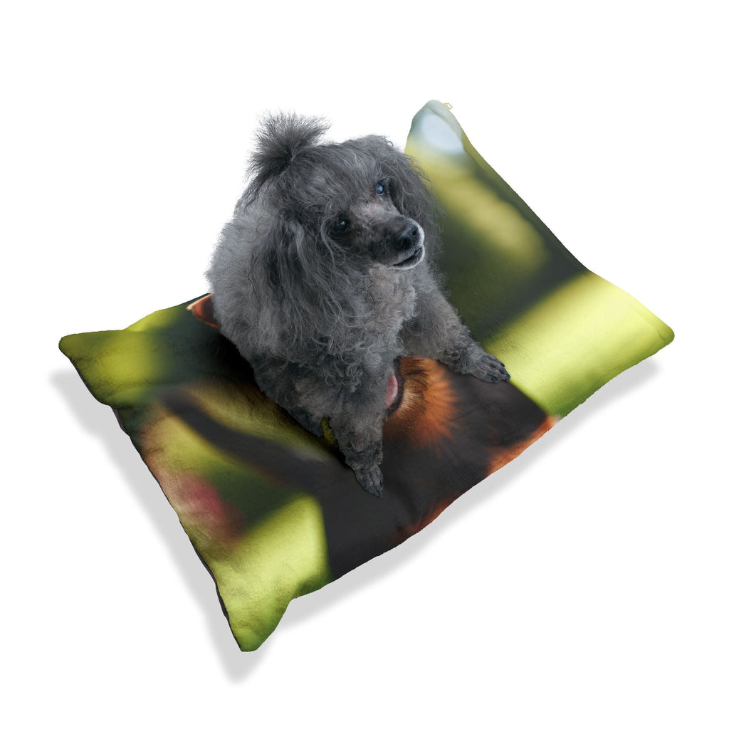 Pet Bed – Plush Dog Bed, 3 Size Options