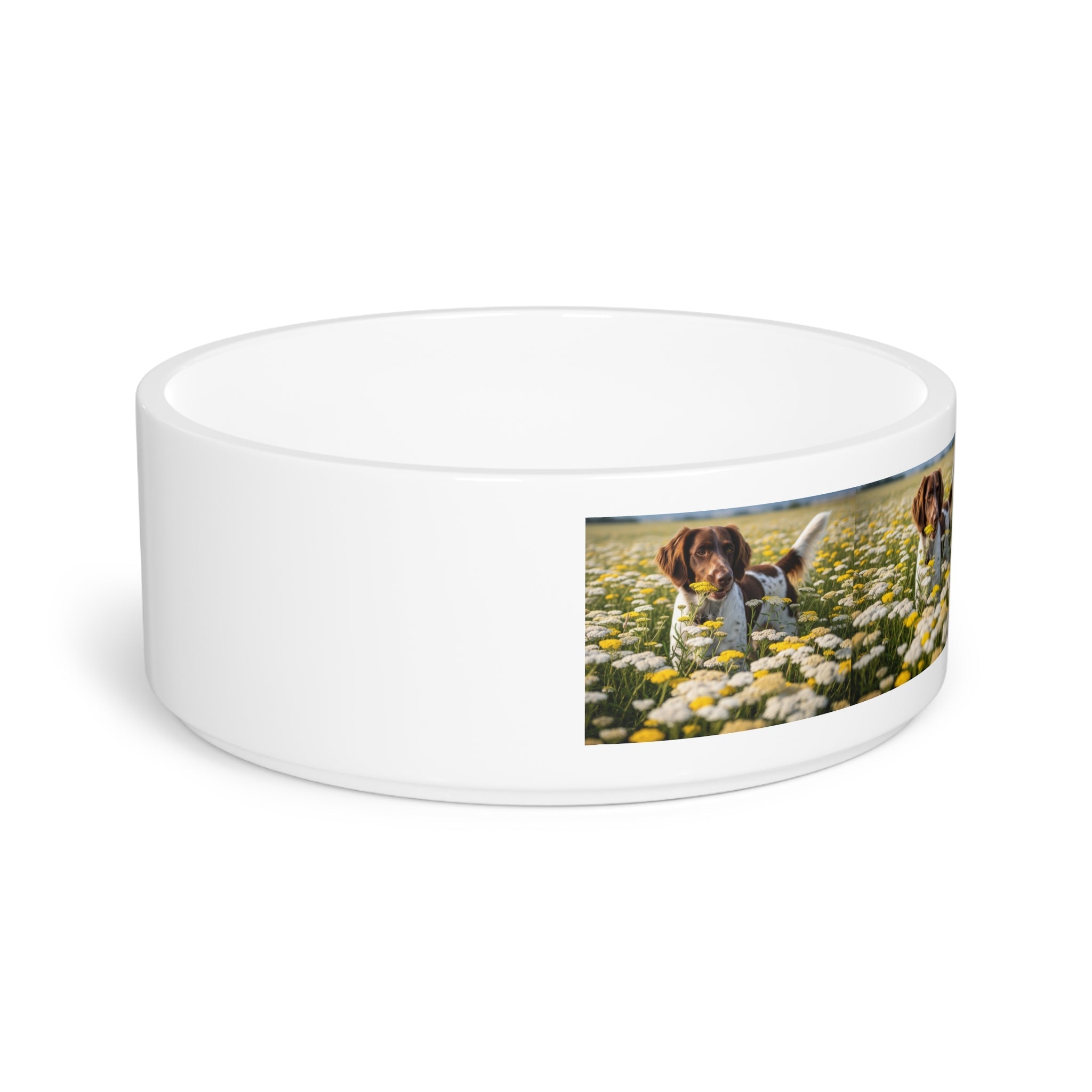 Ceramic Pet Bowl – 16 oz Dog Feeding Bowl