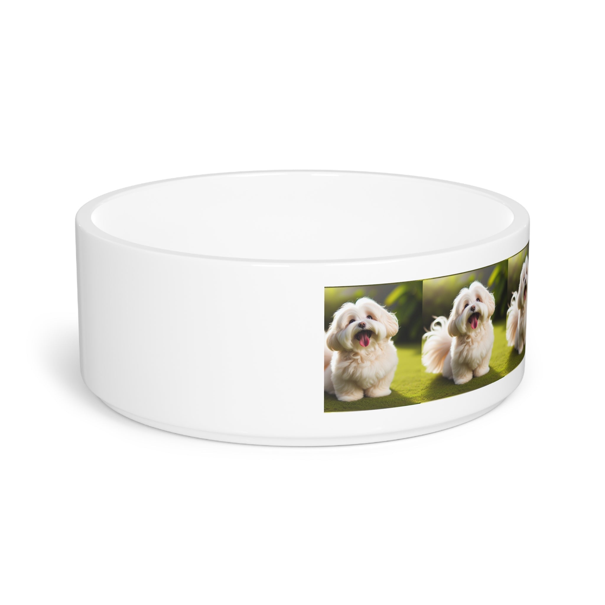Ceramic Pet Bowl – 16 oz Dog Feeding Bowl