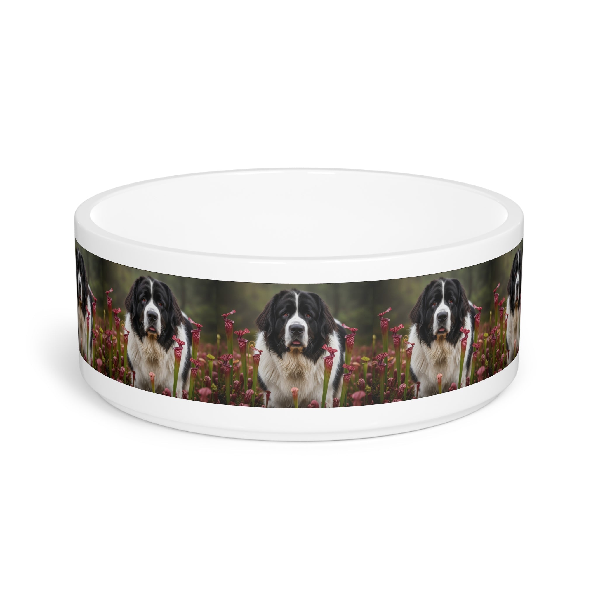 Ceramic Pet Bowl – 16 oz Dog Feeding Bowl