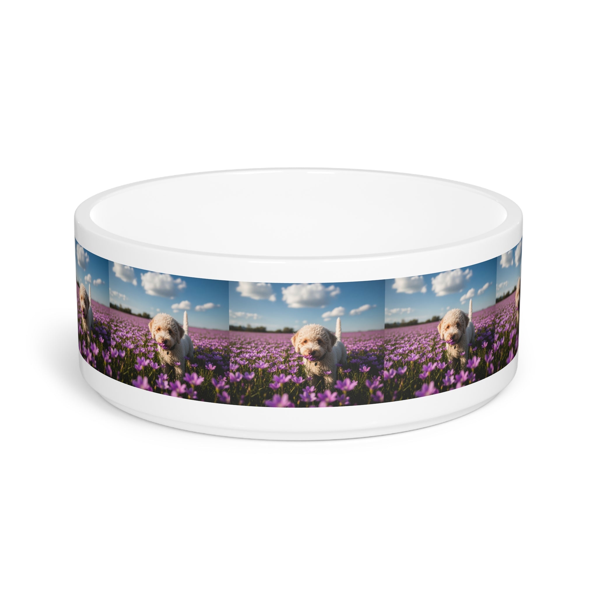 Ceramic Pet Bowl – 16 oz Dog Feeding Bowl