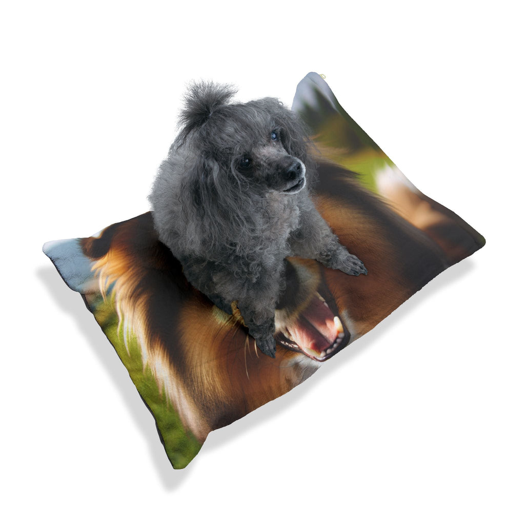 Pet Bed – Plush Dog Bed, 3 Size Options
