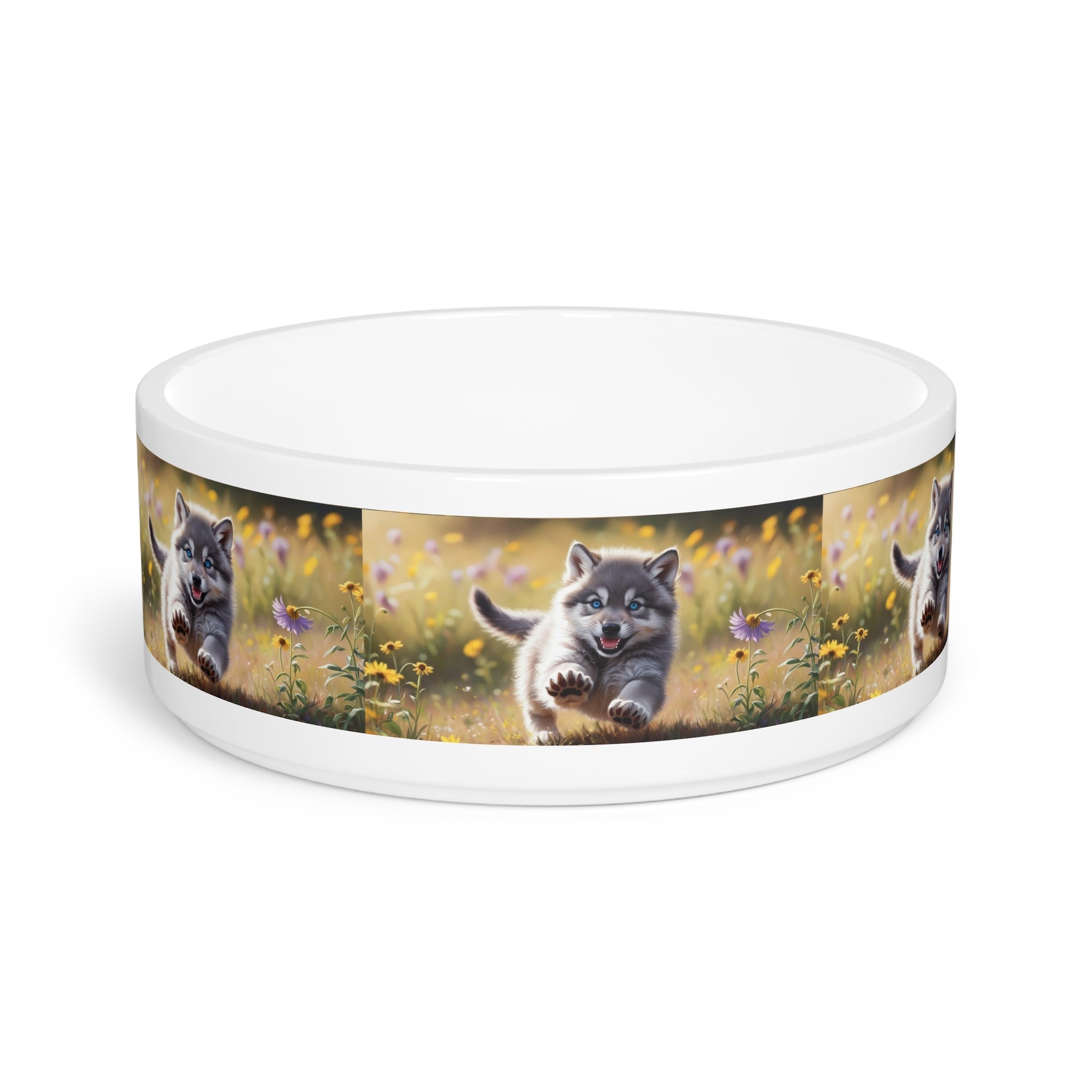 Ceramic Pet Bowl – 16 oz Dog Feeding Bowl