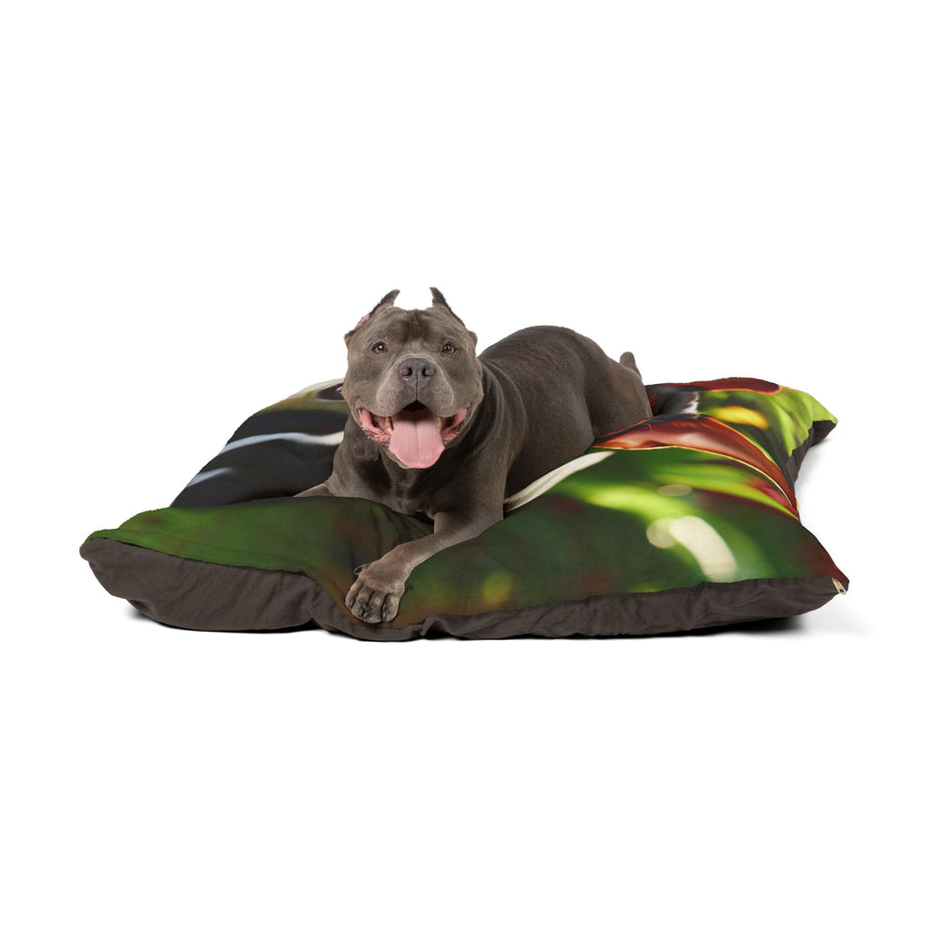 Pet Bed – Plush Dog Bed, 3 Size Options