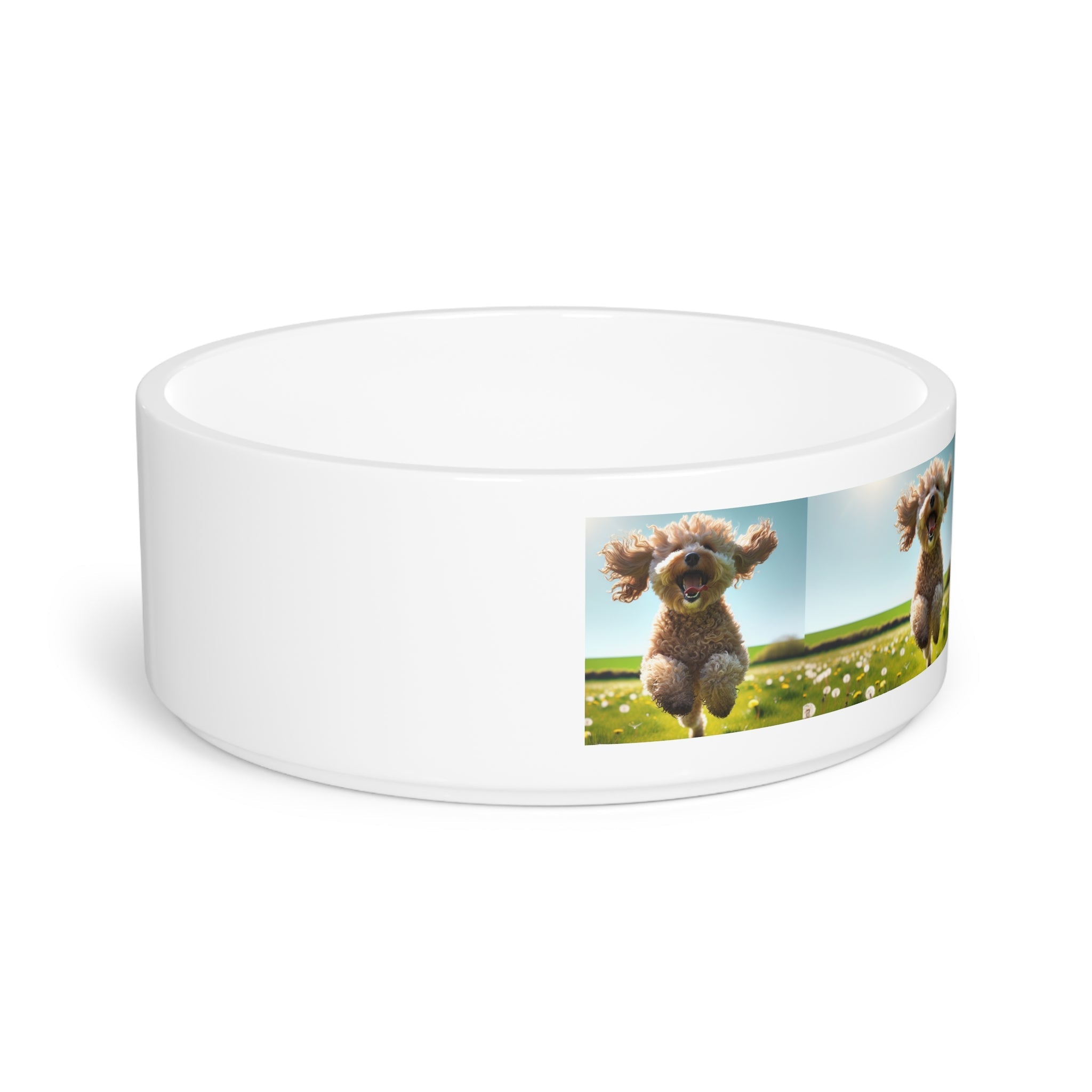 Ceramic Pet Bowl – 16 oz Dog Feeding Bowl
