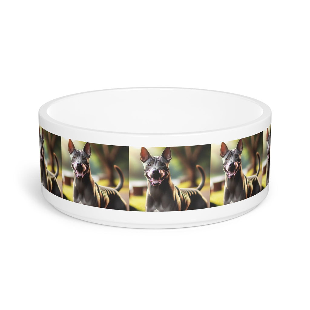 Ceramic Pet Bowl – 16 oz Dog Feeding Bowl