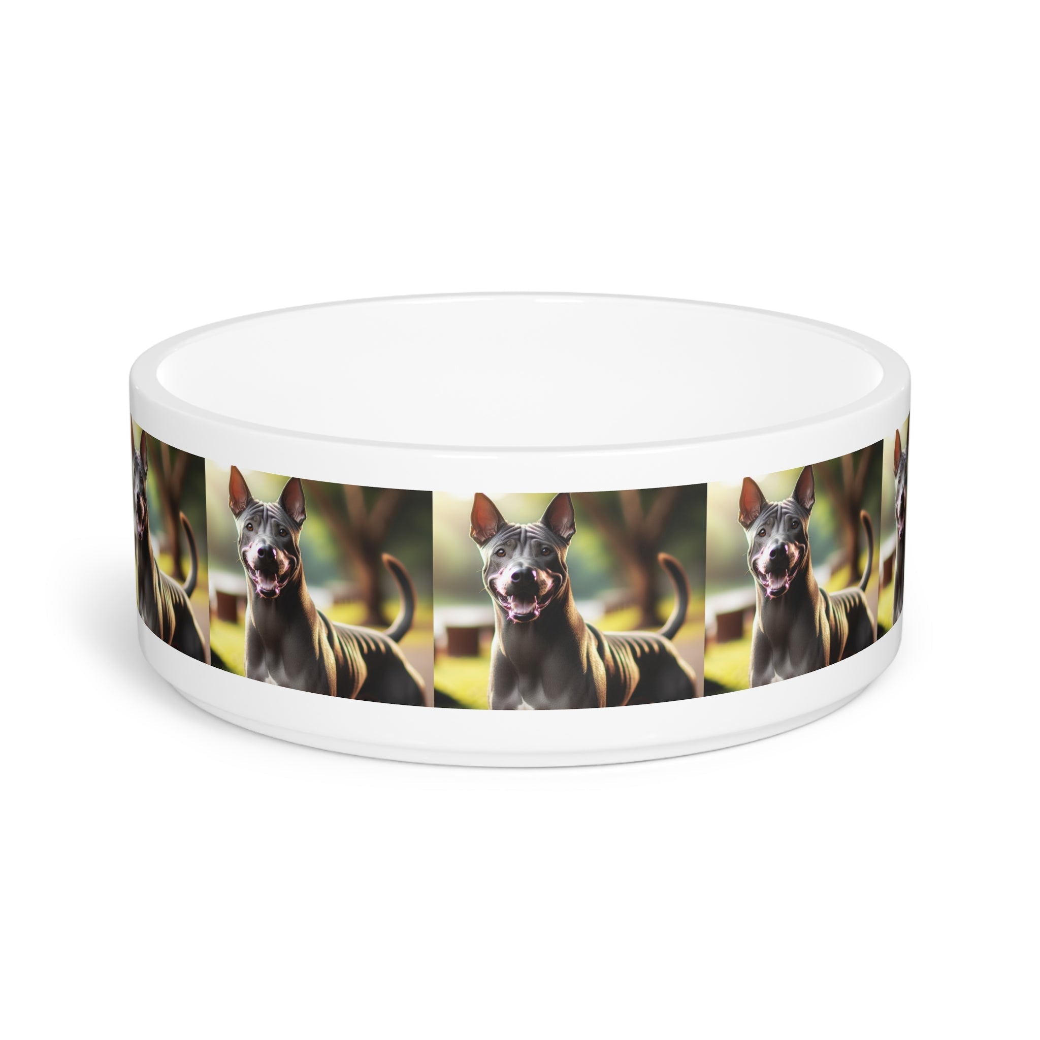 Ceramic Pet Bowl – 16 oz Dog Feeding Bowl