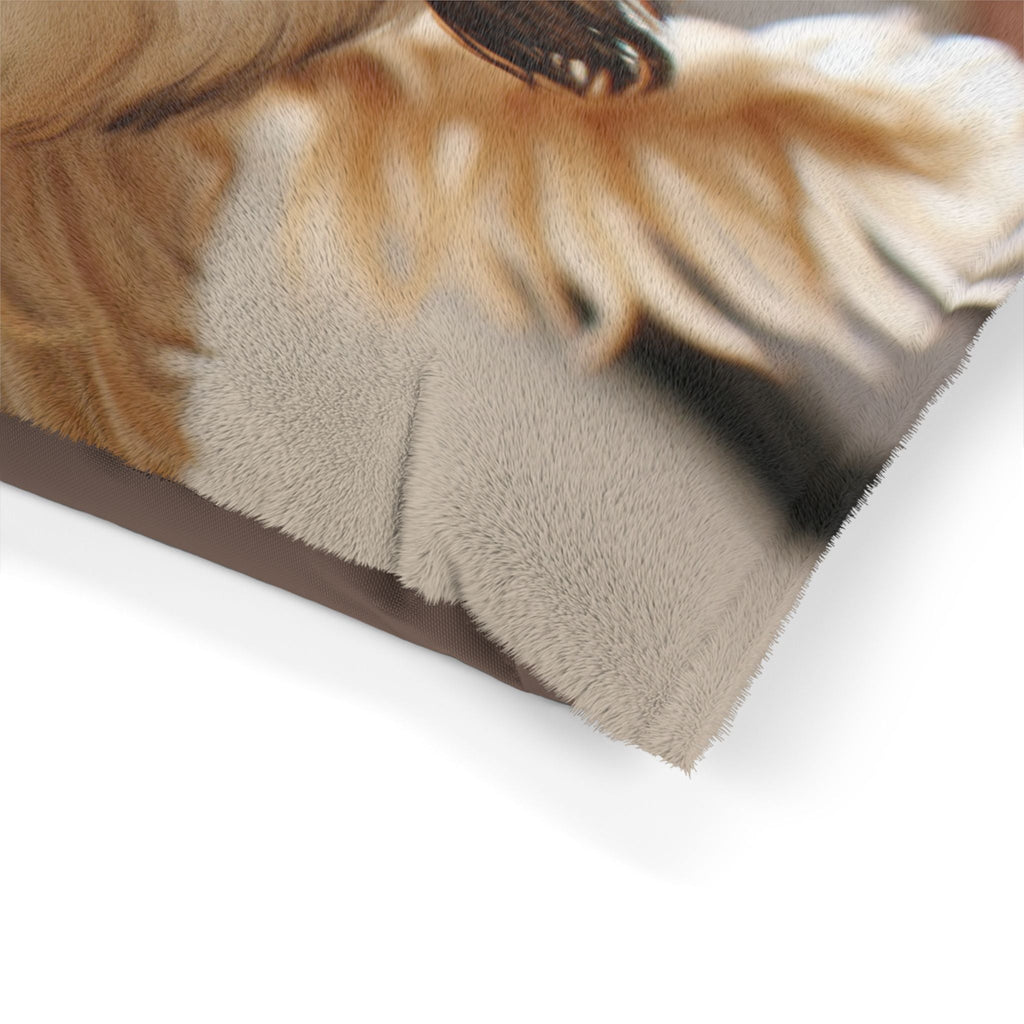 Pet Bed – Plush Dog Bed, 3 Size Options
