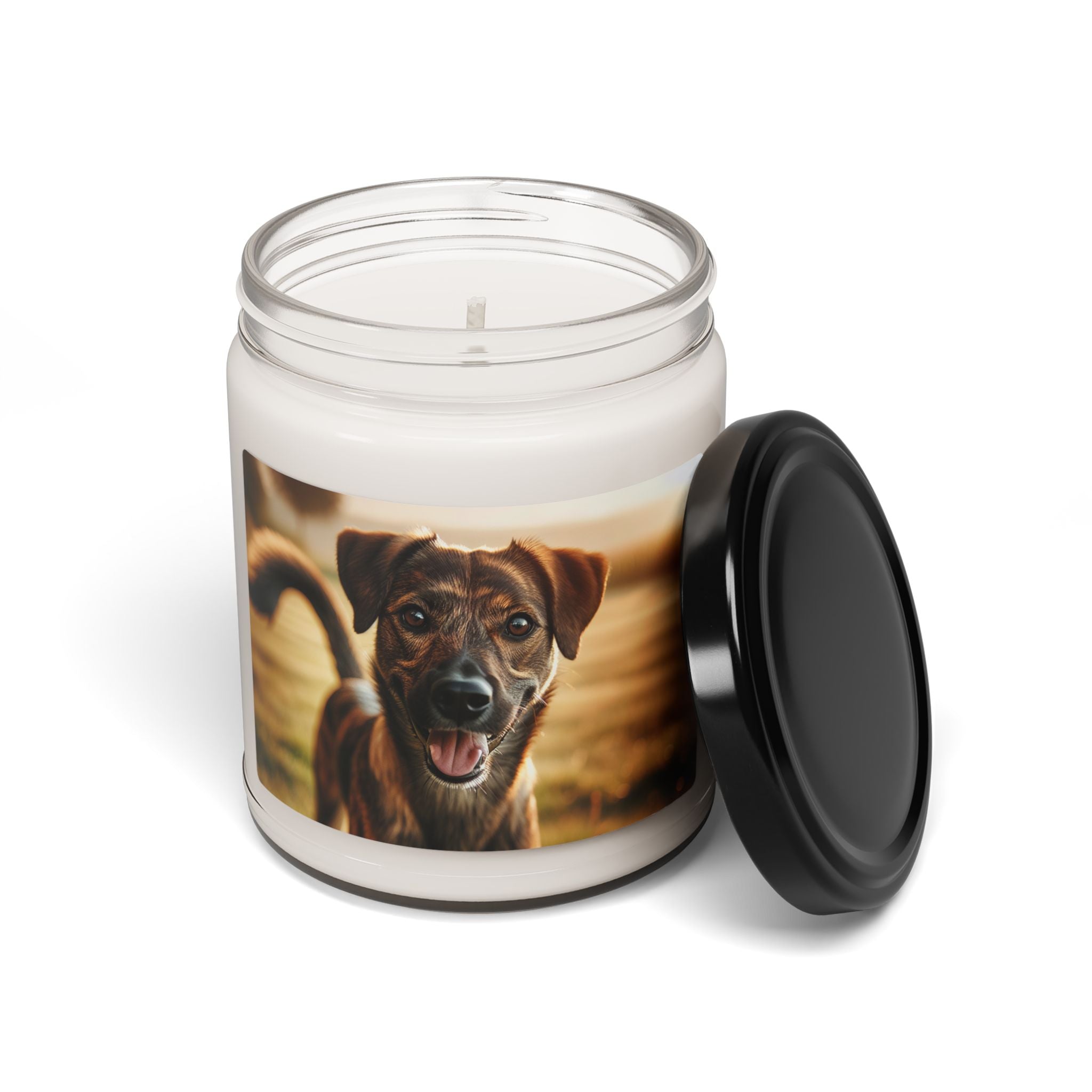 Soy Candle – Scented Jar Candle