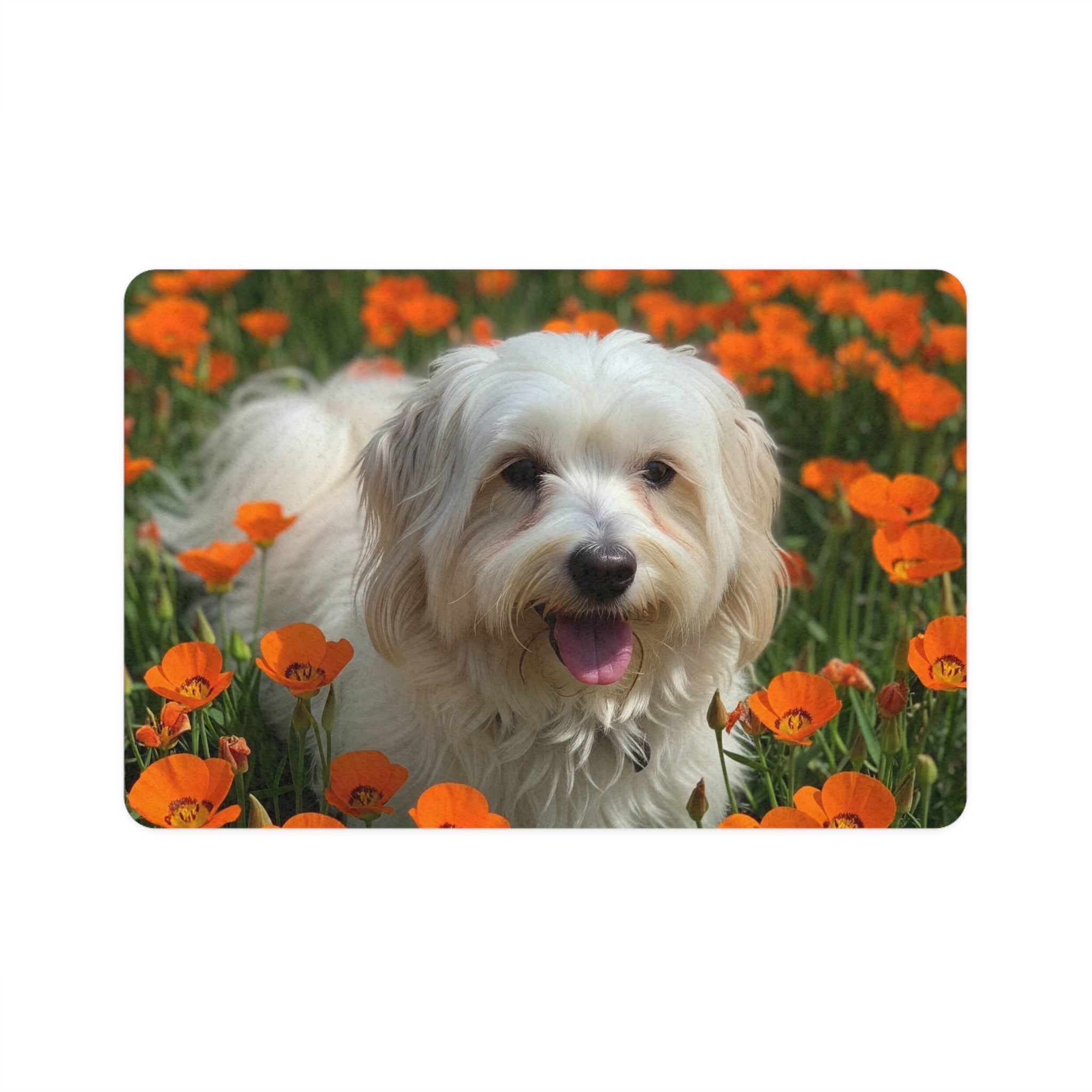 Non-Slip Pet Food Mat – Waterproof Feeding Mat for Dogs