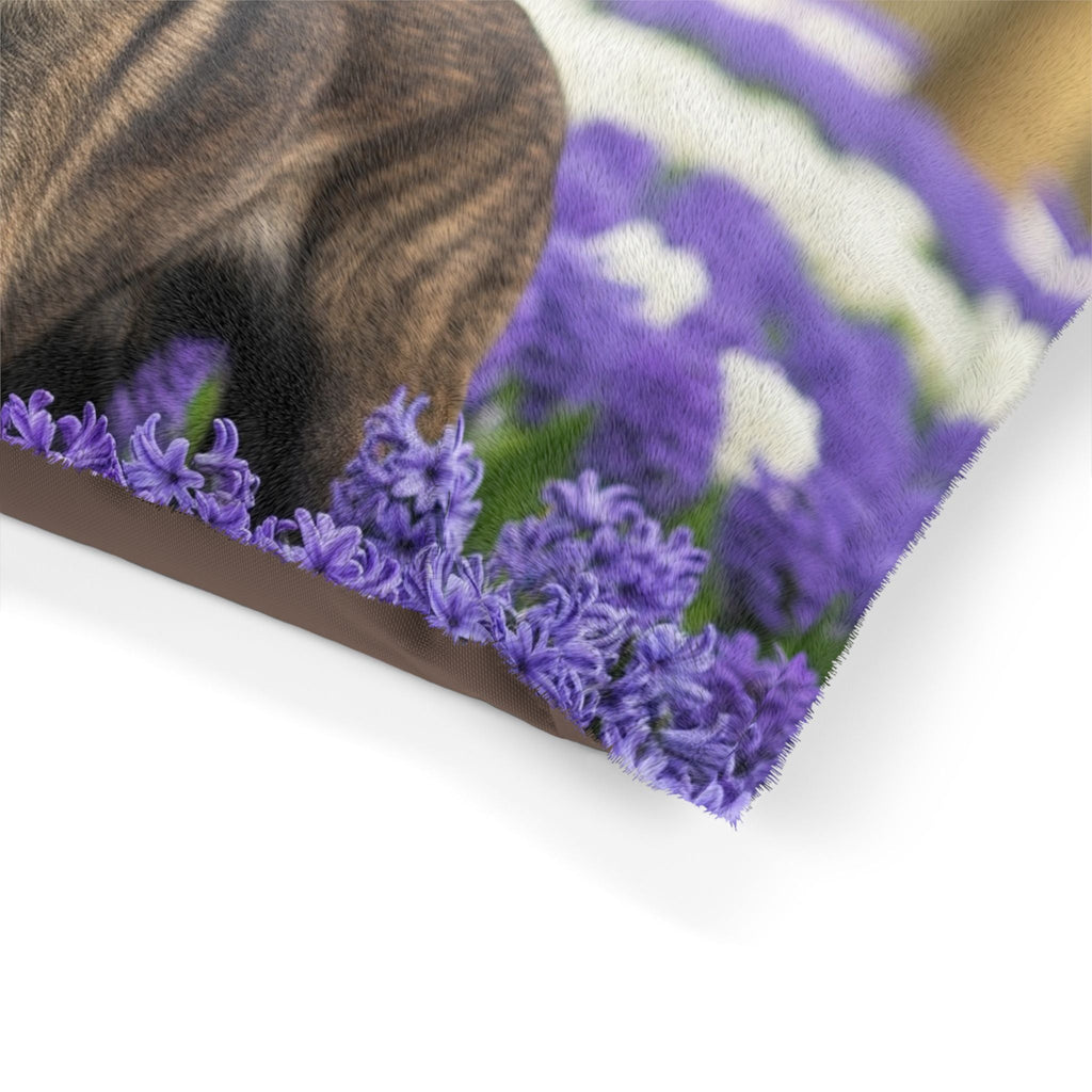 Pet Bed – Plush Dog Bed, 3 Size Options