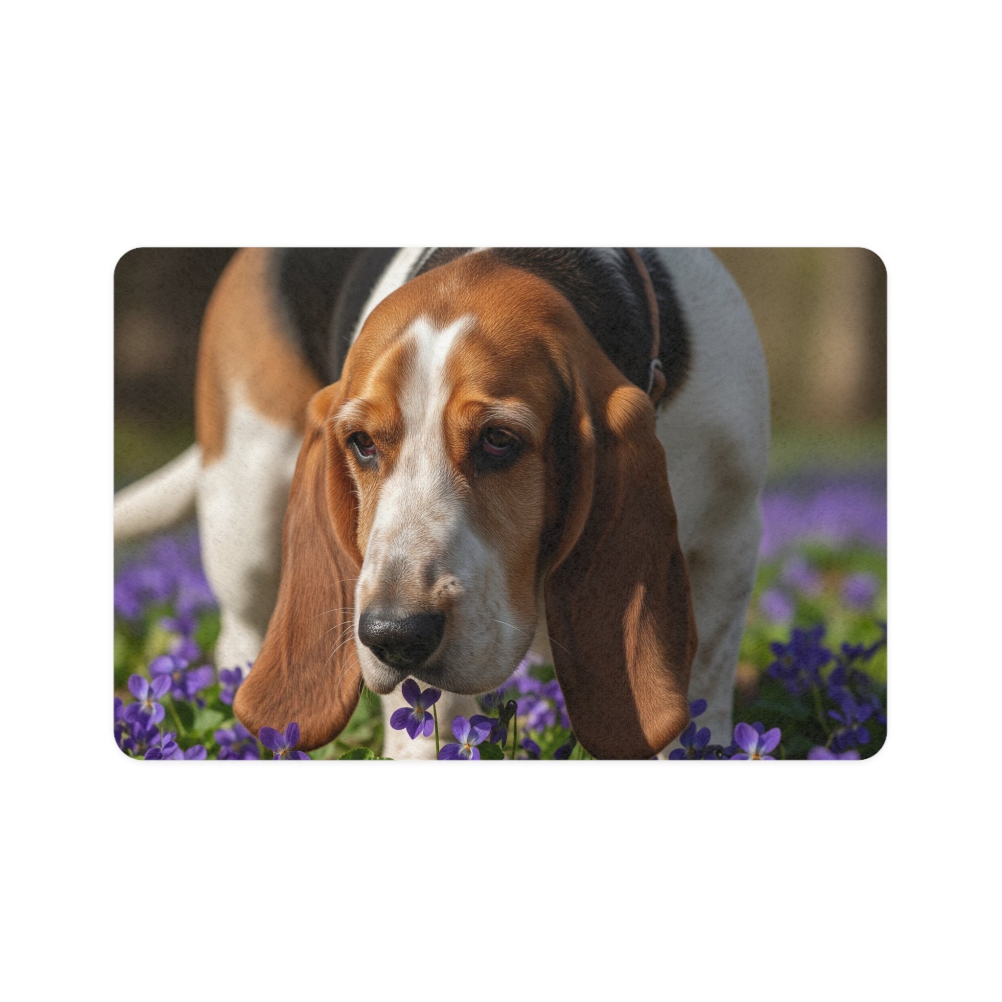 Non-Slip Pet Food Mat – Waterproof Feeding Mat for Dogs