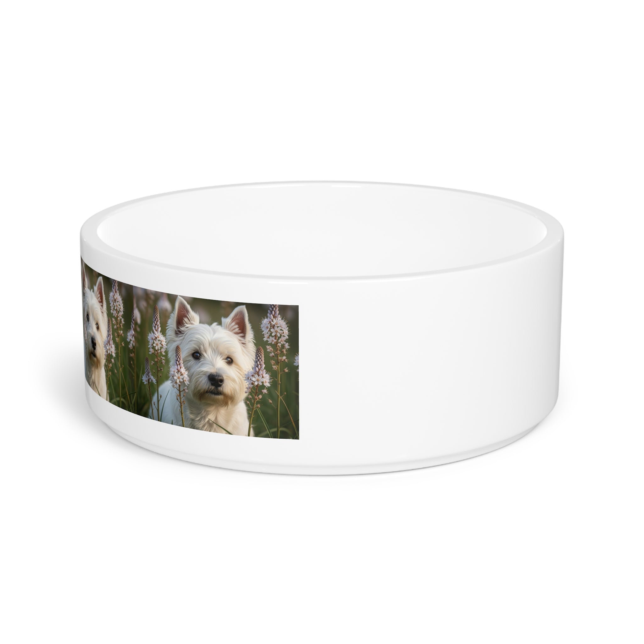 Ceramic Pet Bowl – 16 oz Dog Feeding Bowl