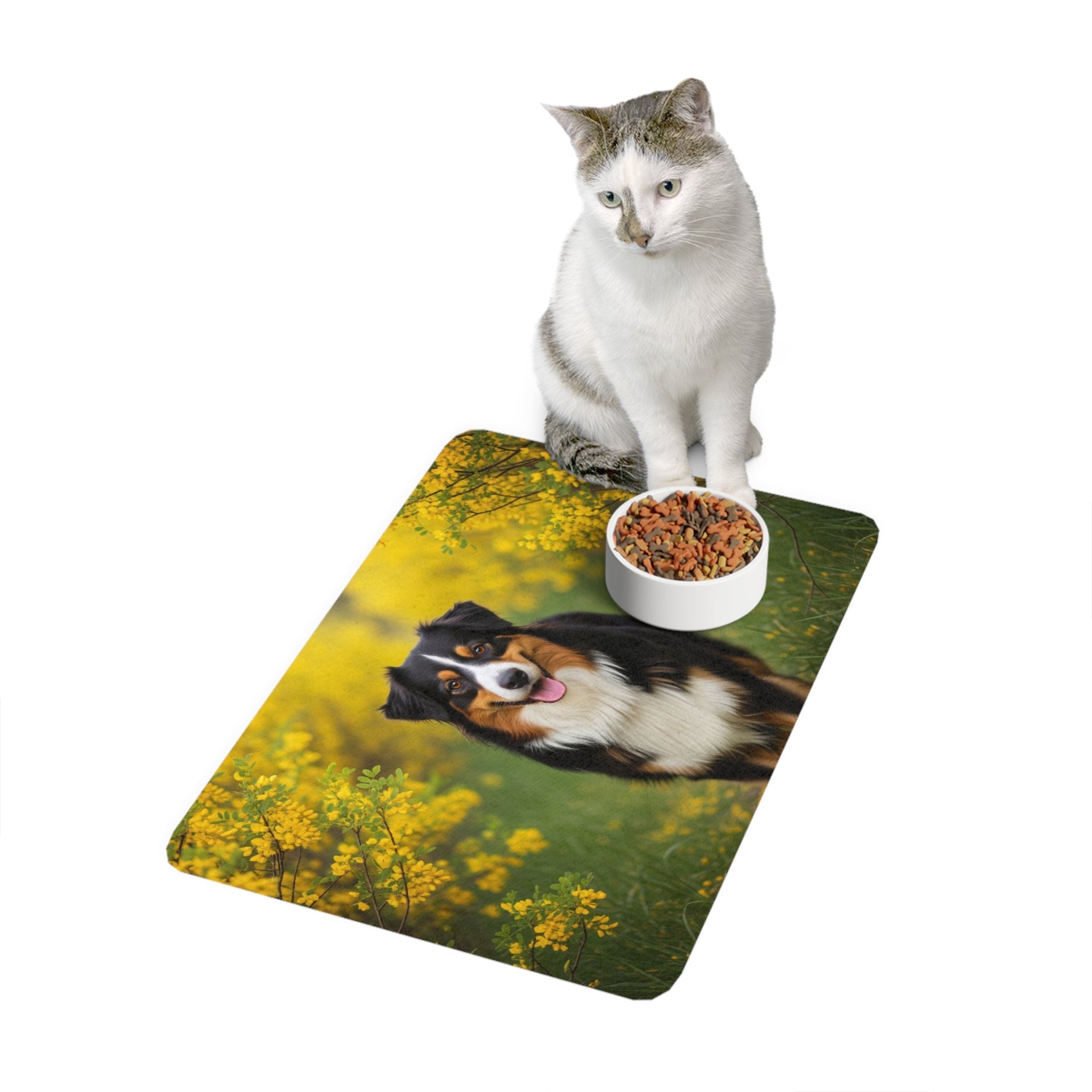Non-Slip Pet Food Mat – Waterproof Feeding Mat for Dogs