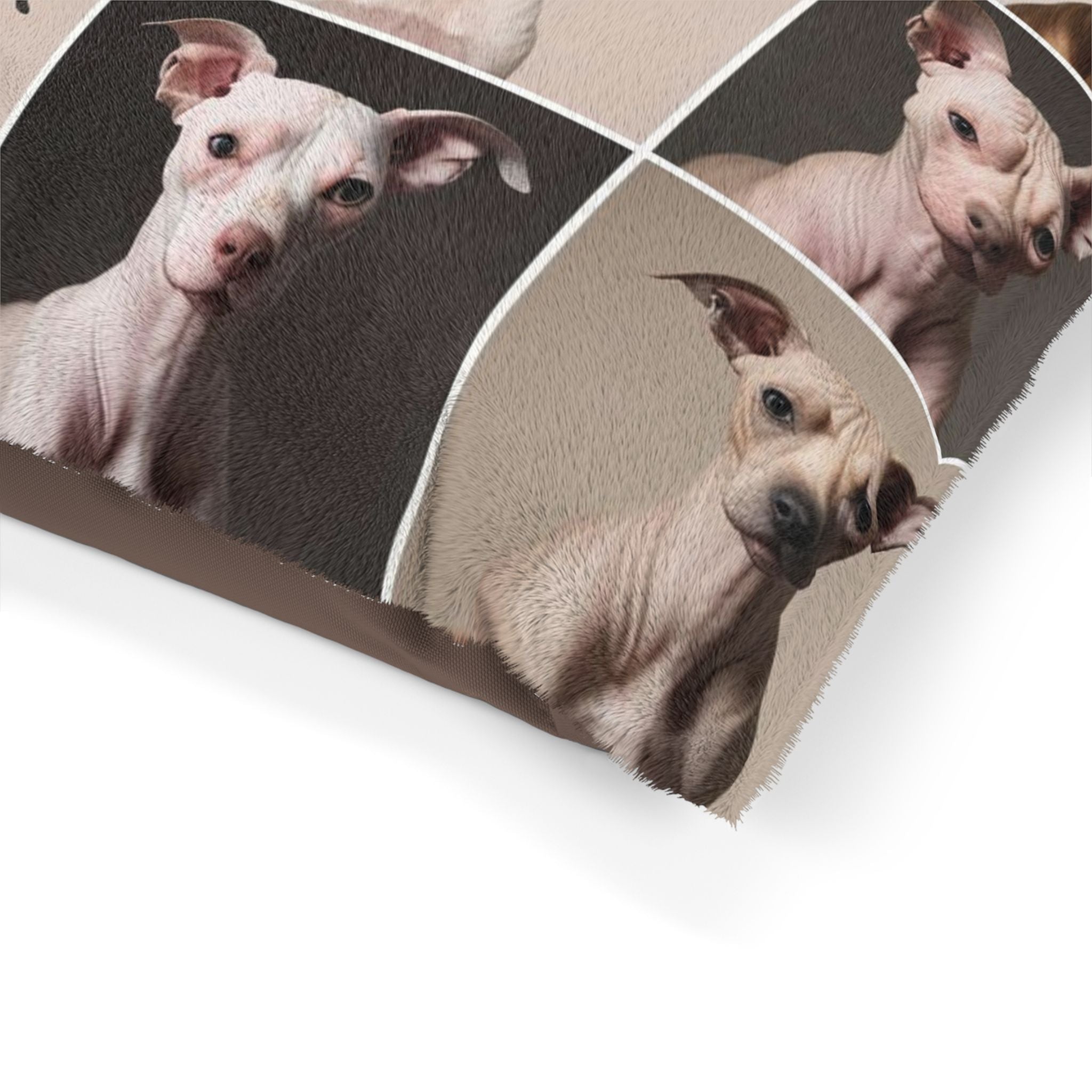 Pet Bed – Plush Dog Bed, 3 Size Options