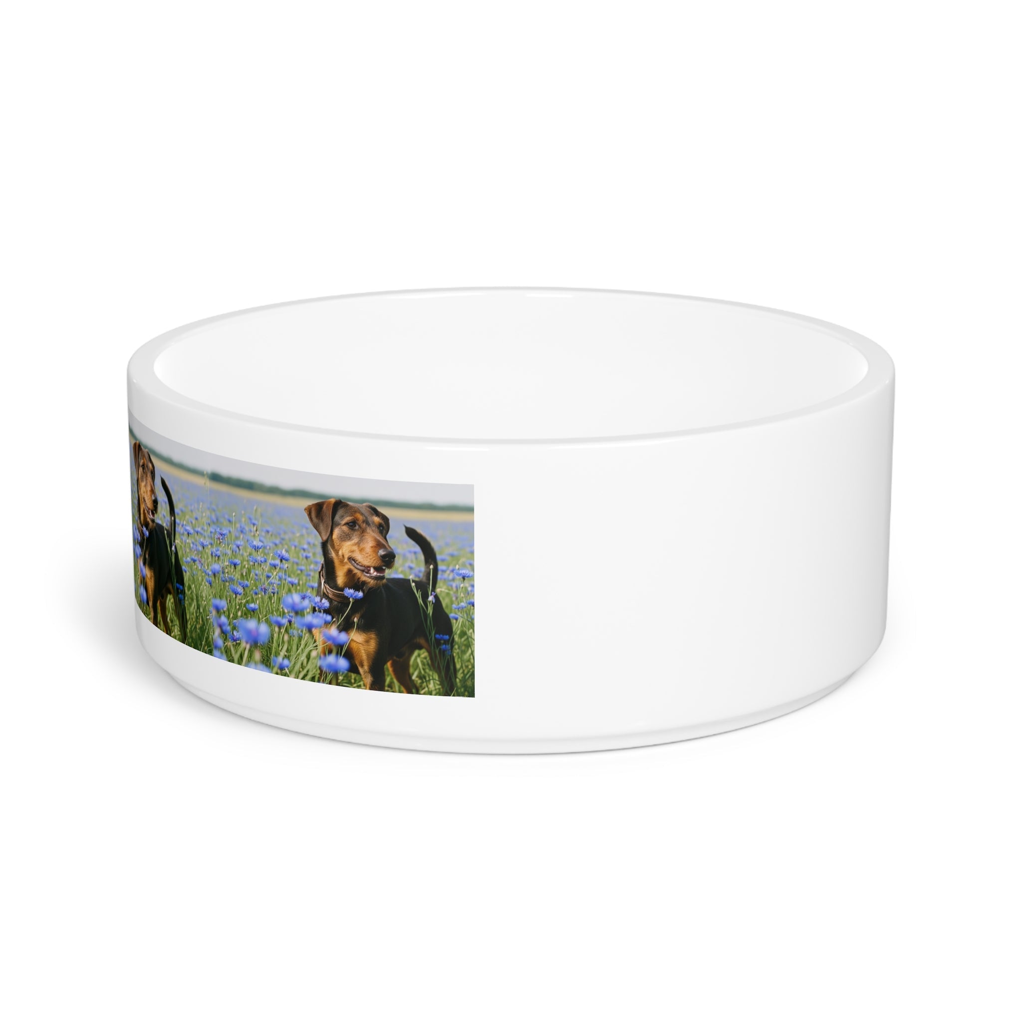 Ceramic Pet Bowl – 16 oz Dog Feeding Bowl