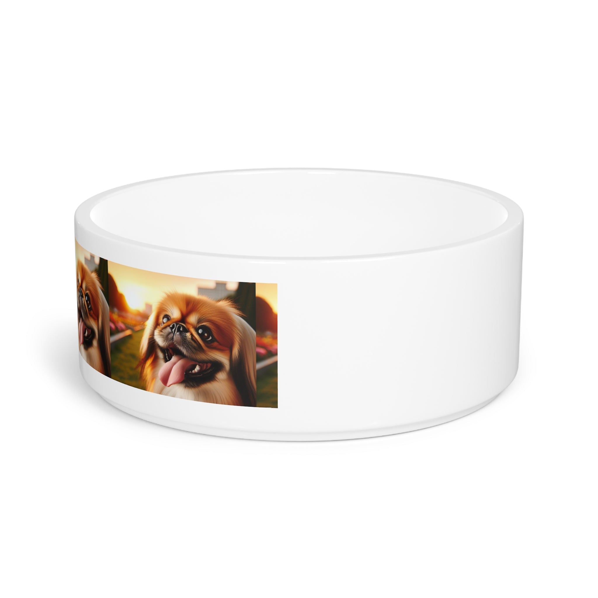 Ceramic Pet Bowl – 16 oz Dog Feeding Bowl