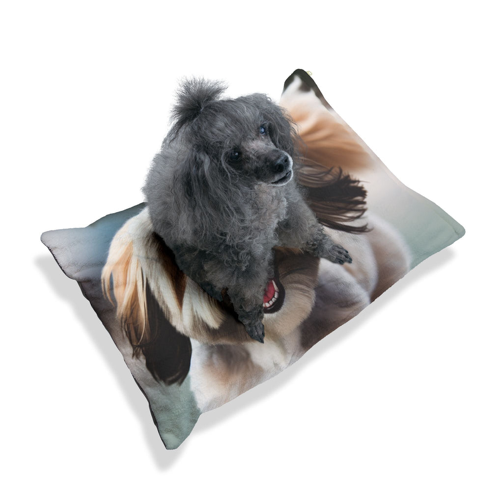 Pet Bed – Plush Dog Bed, 3 Size Options