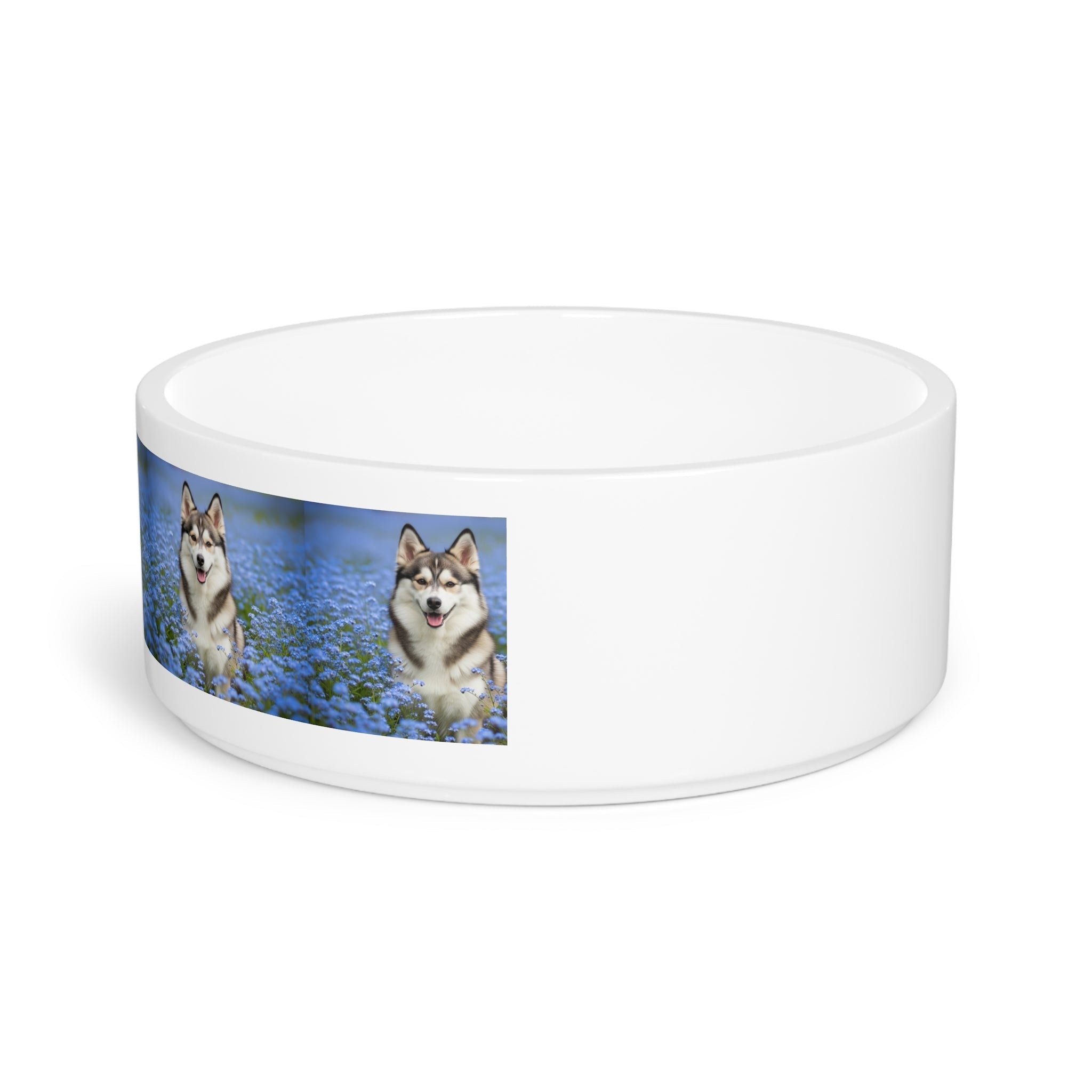 Ceramic Pet Bowl – 16 oz Dog Feeding Bowl