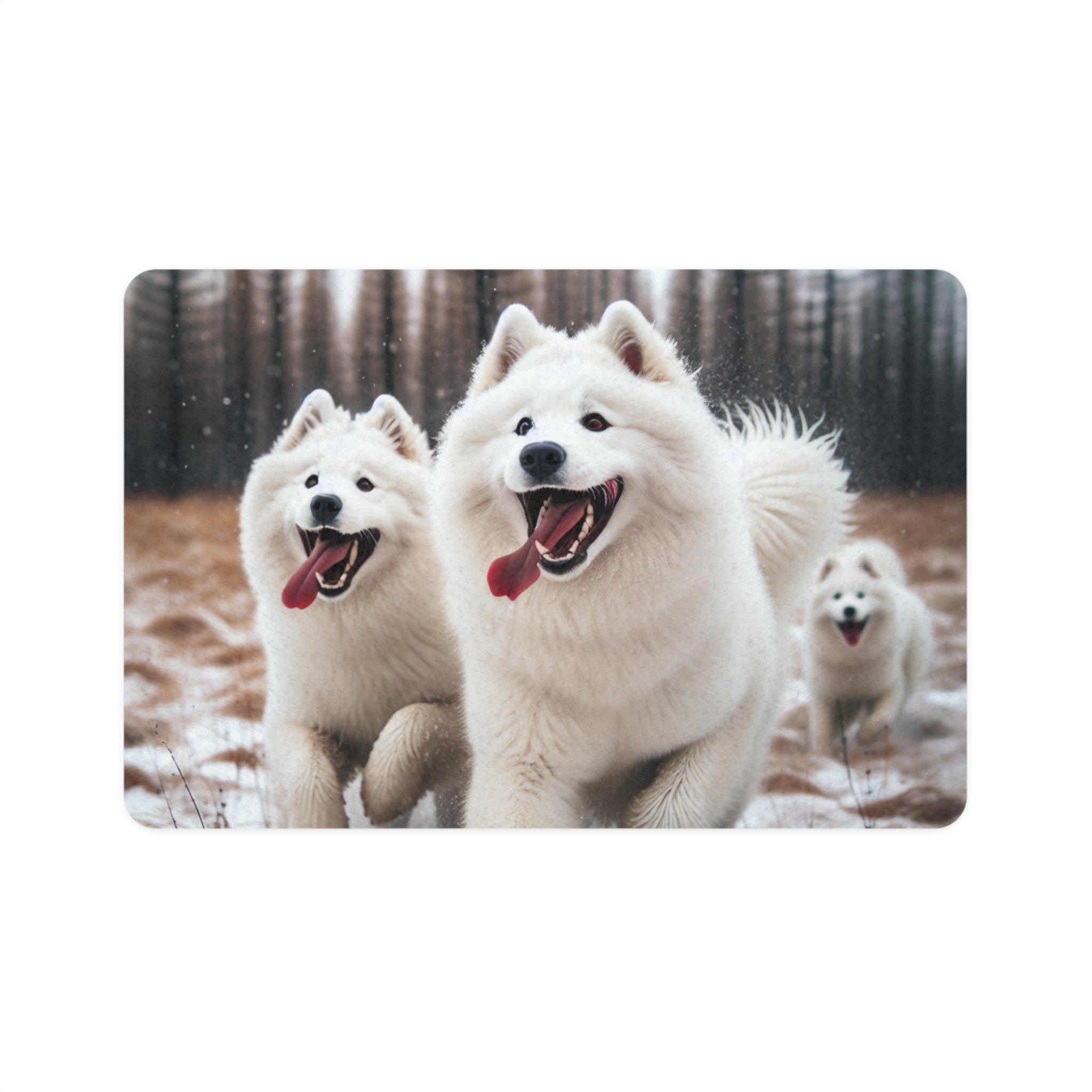 Non-Slip Pet Food Mat – Waterproof Feeding Mat for Dogs