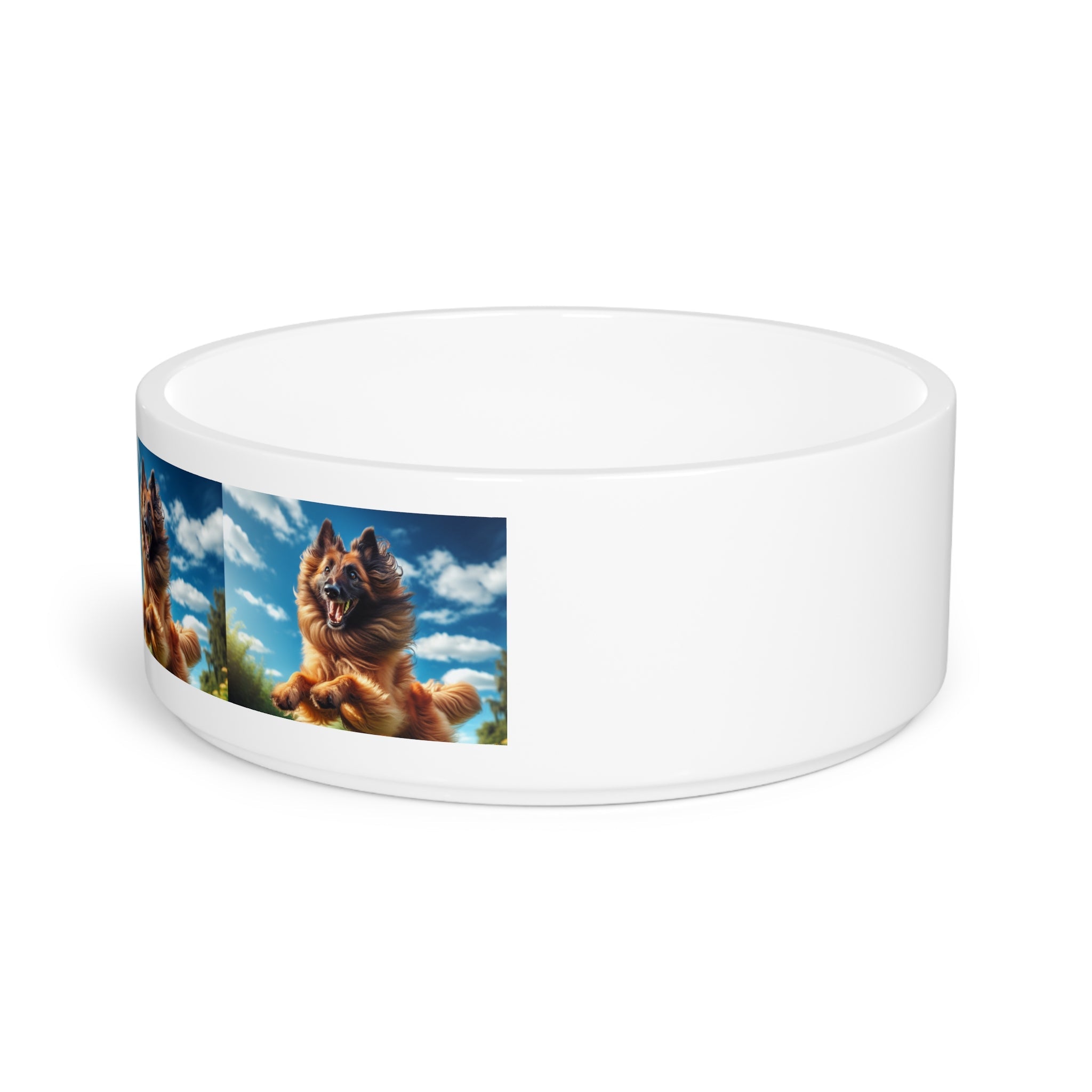Ceramic Pet Bowl – 16 oz Dog Feeding Bowl