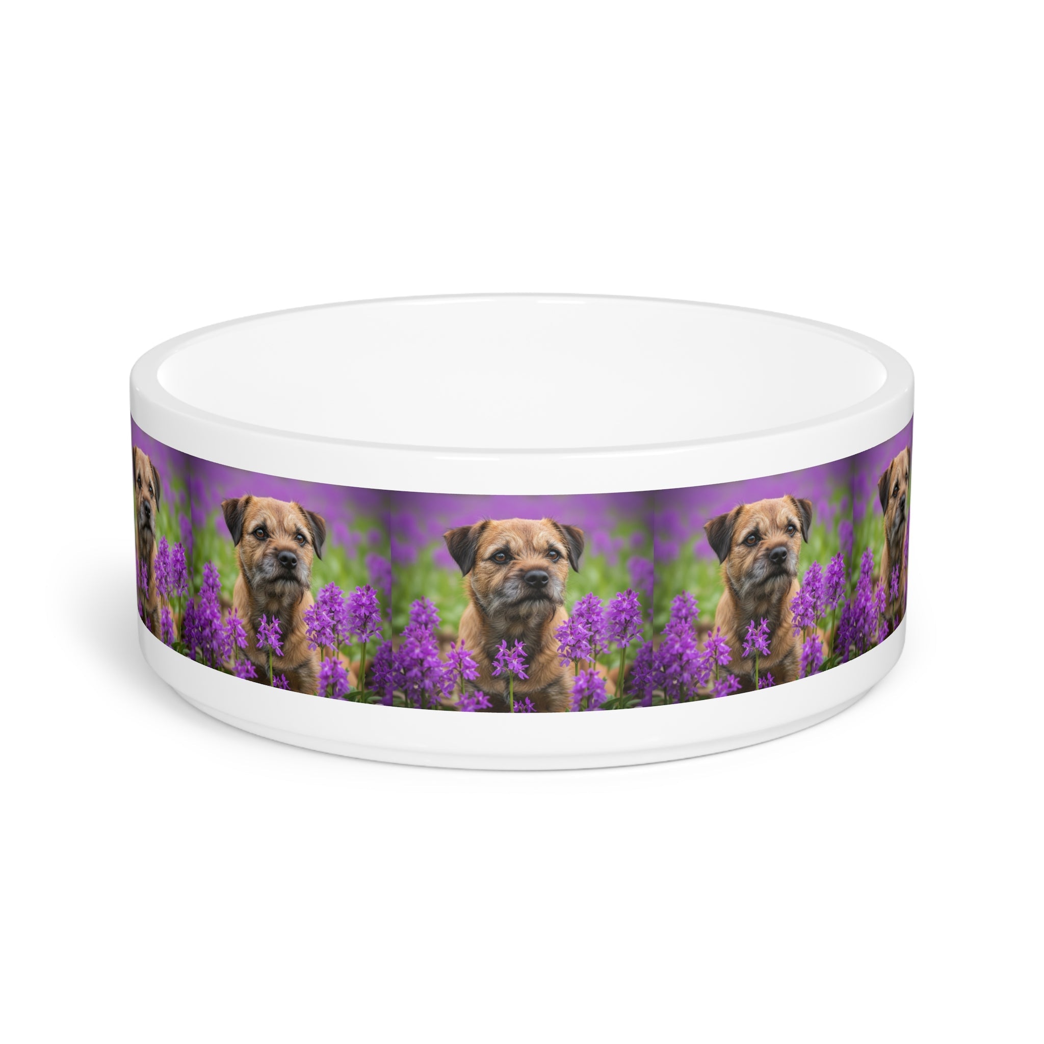 Ceramic Pet Bowl – 16 oz Dog Feeding Bowl
