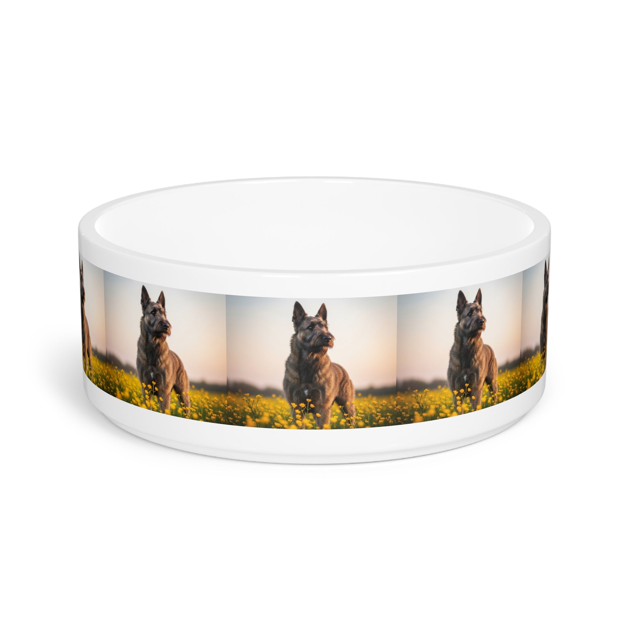 Ceramic Pet Bowl – 16 oz Dog Feeding Bowl