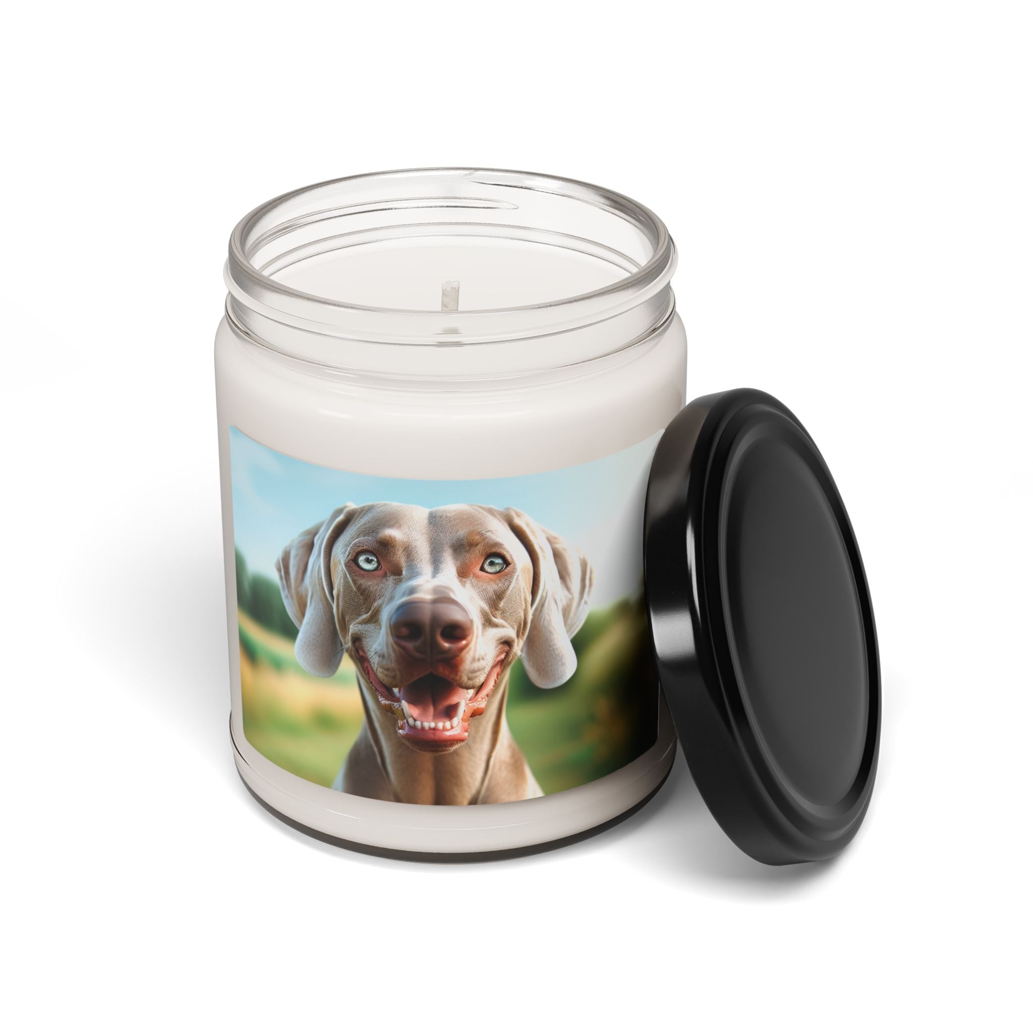 Soy Candle – Scented Jar Candle