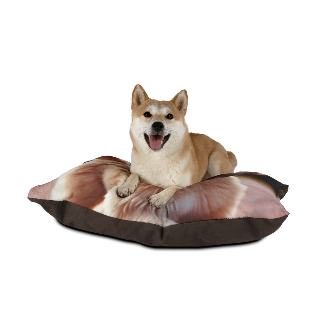 Pet Bed – Plush Dog Bed, 3 Size Options