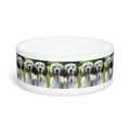 Ceramic Pet Bowl – 16 oz Dog Feeding Bowl