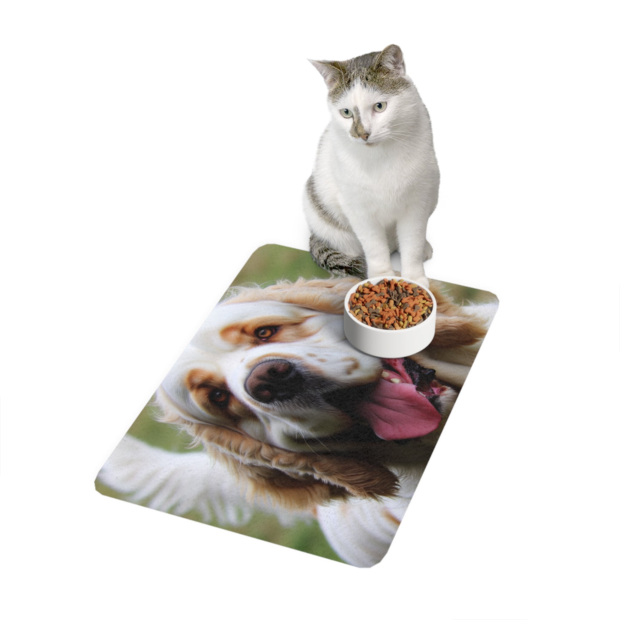Non-Slip Pet Food Mat – Waterproof Feeding Mat for Dogs