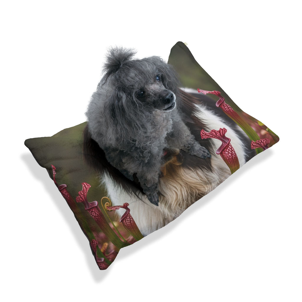 Pet Bed – Plush Dog Bed, 3 Size Options