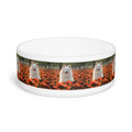 Ceramic Pet Bowl – 16 oz Dog Feeding Bowl