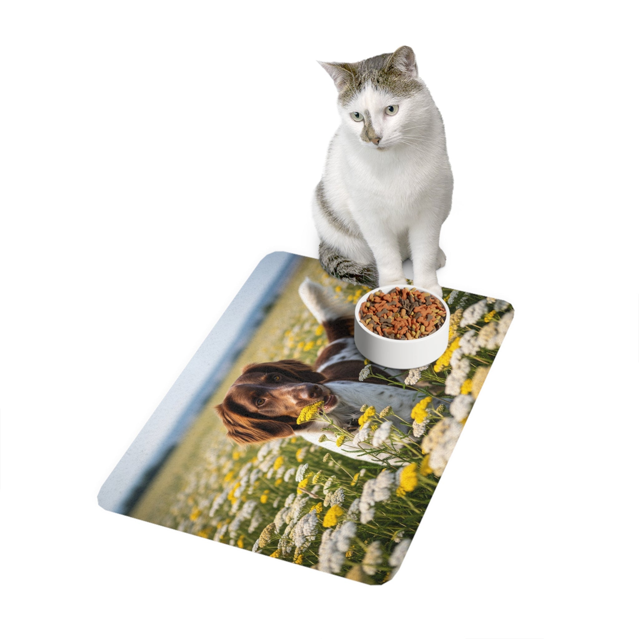 Non-Slip Pet Food Mat – Waterproof Feeding Mat for Dogs