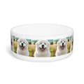 Ceramic Pet Bowl – 16 oz Dog Feeding Bowl