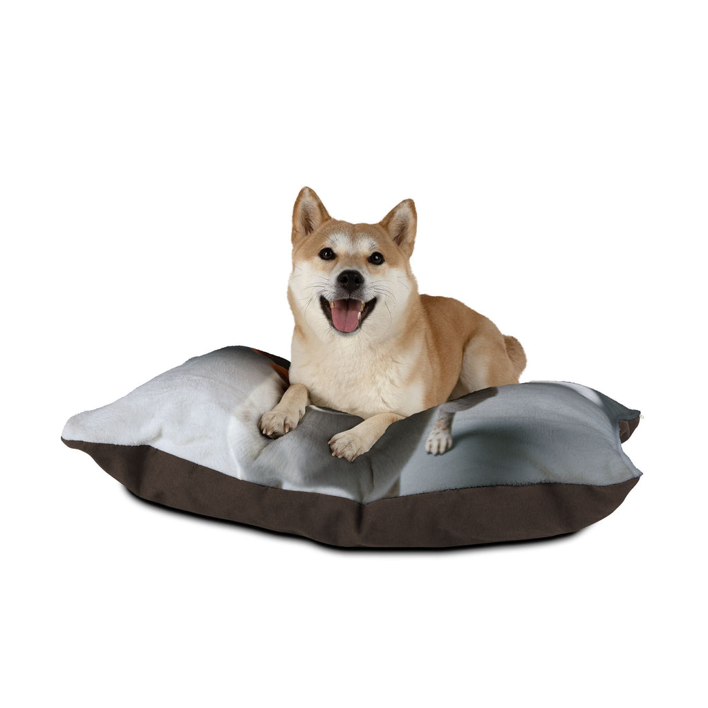 Pet Bed – Plush Dog Bed, 3 Size Options