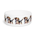Ceramic Pet Bowl – 16 oz Dog Feeding Bowl