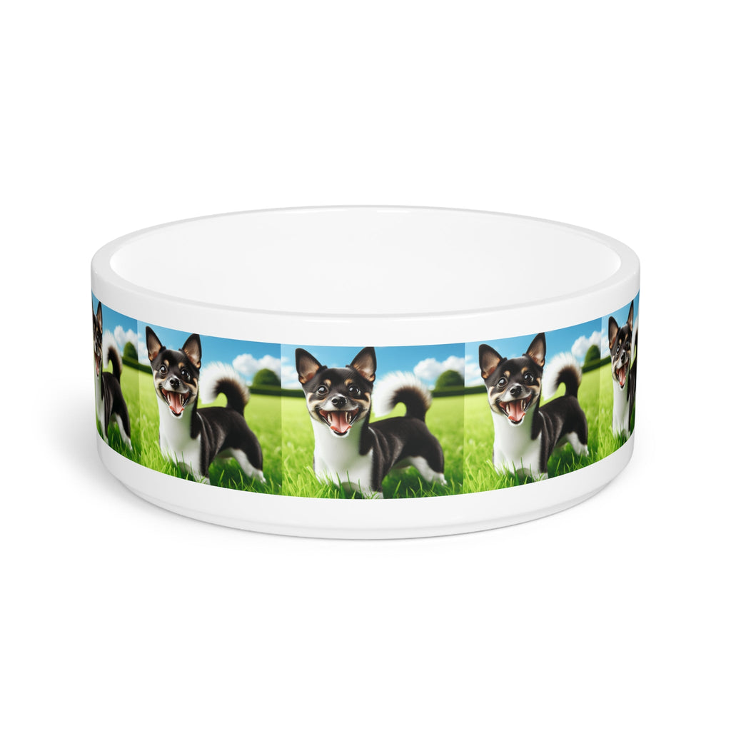 Ceramic Pet Bowl – 16 oz Dog Feeding Bowl