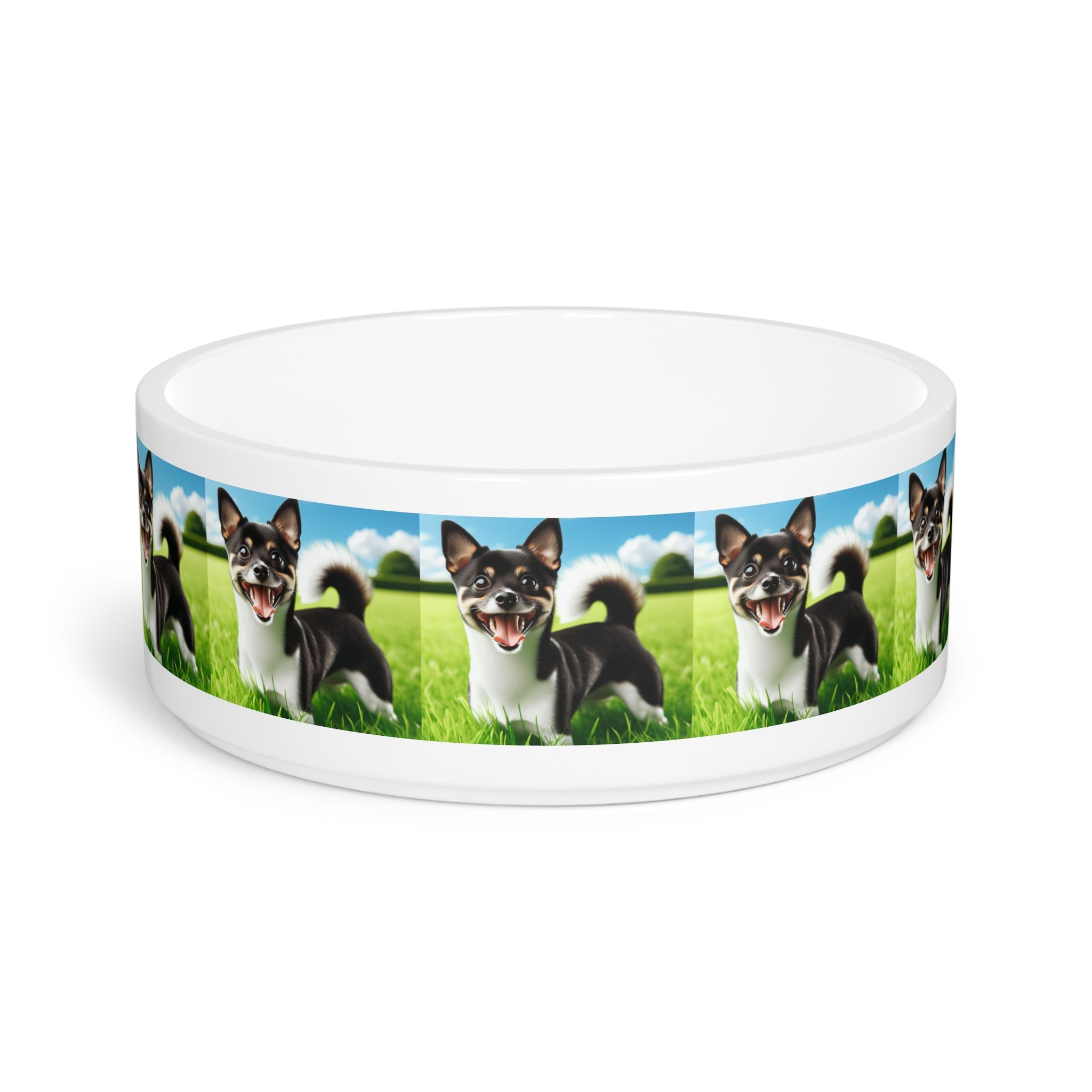 Ceramic Pet Bowl – 16 oz Dog Feeding Bowl