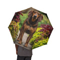 48" Semi-Automatic Umbrella – Windproof Large Travel Rain Umbrella