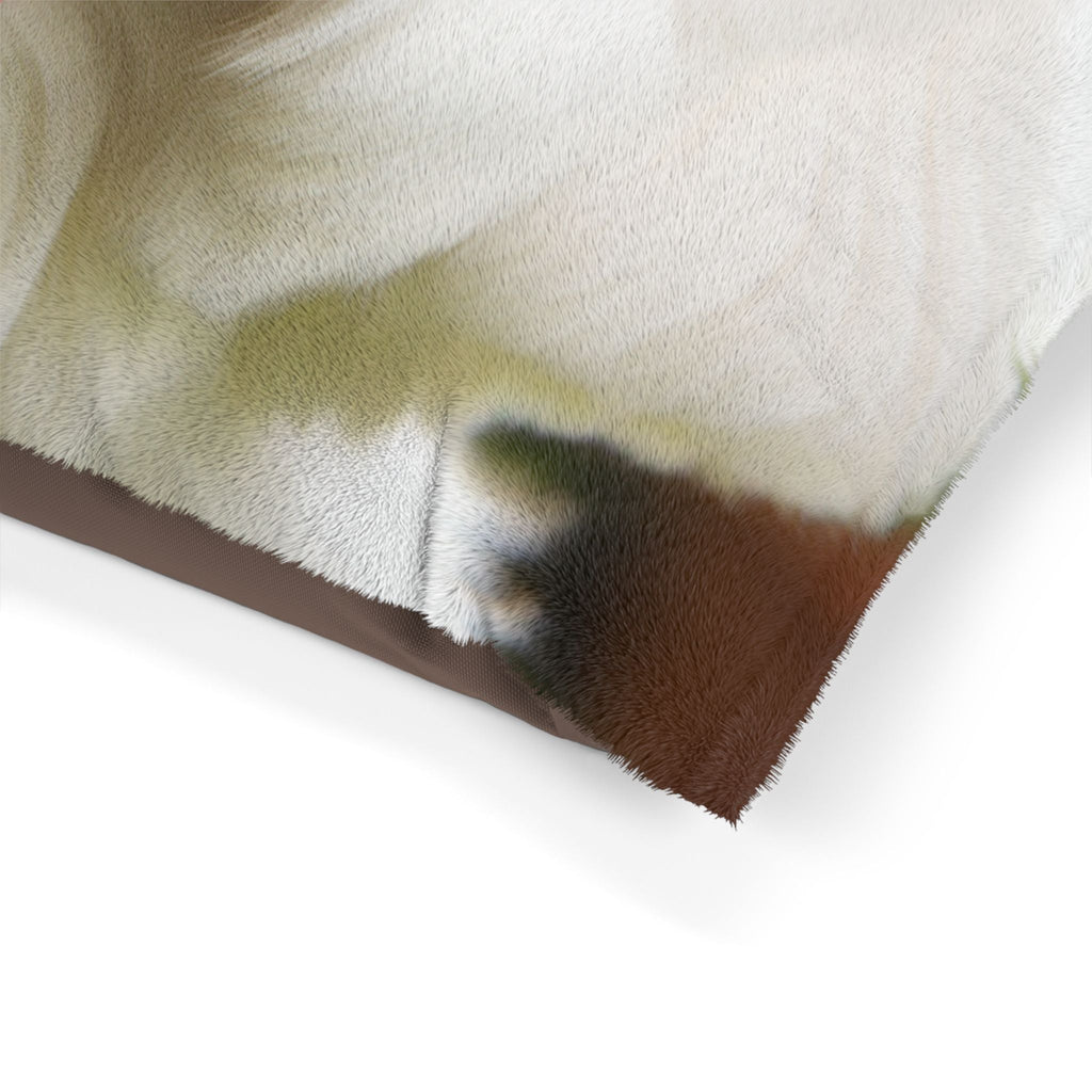 Pet Bed – Plush Dog Bed, 3 Size Options