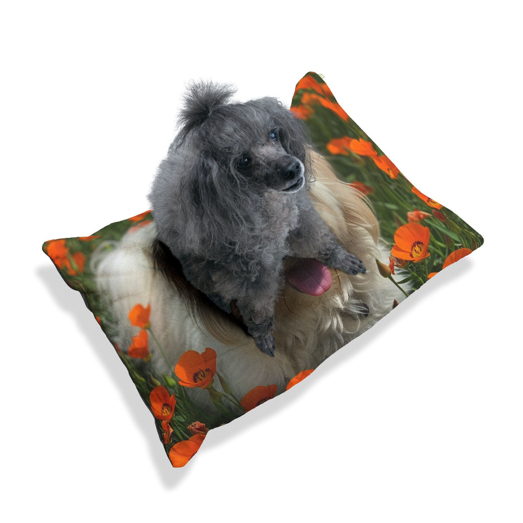 Pet Bed – Plush Dog Bed, 3 Size Options