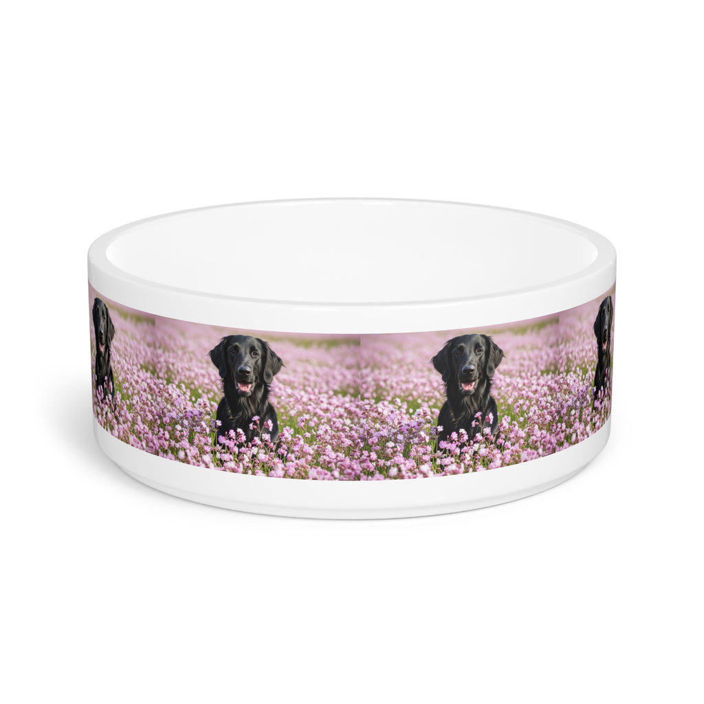 Ceramic Pet Bowl – 16 oz Dog Feeding Bowl