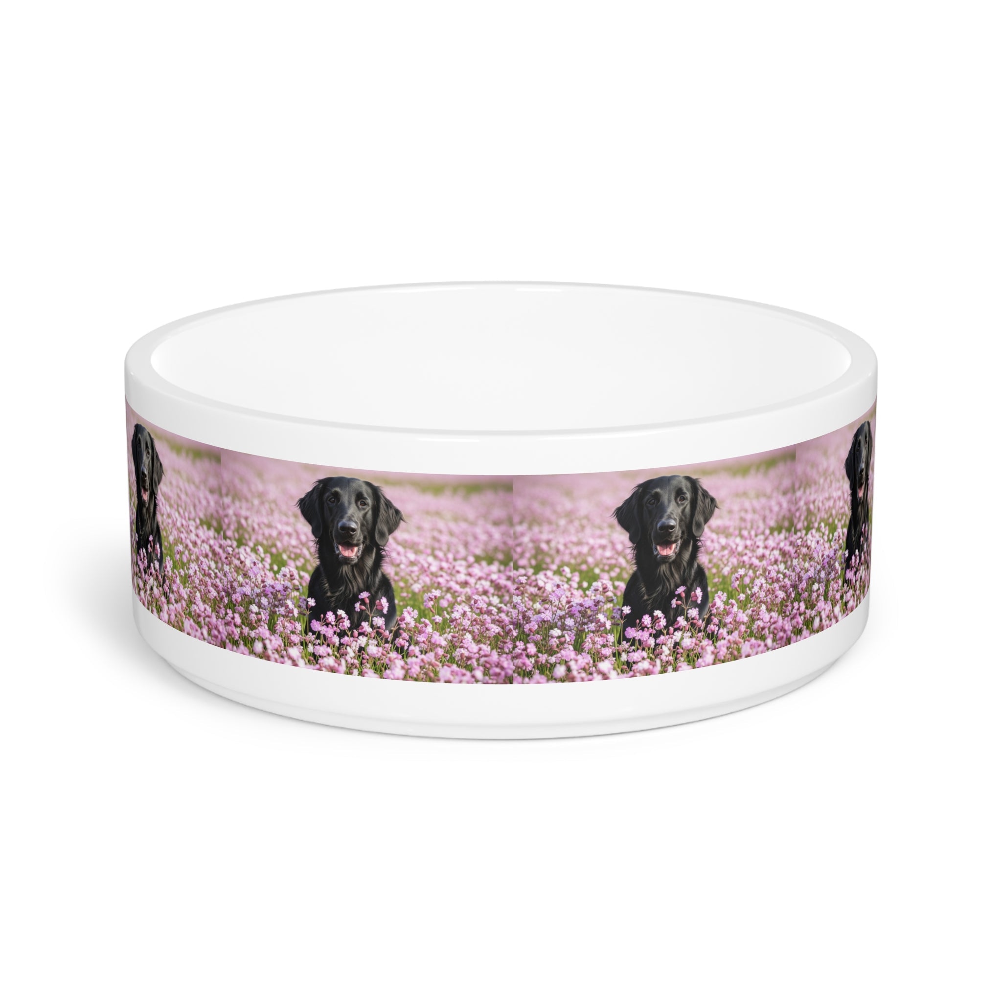 Ceramic Pet Bowl – 16 oz Dog Feeding Bowl